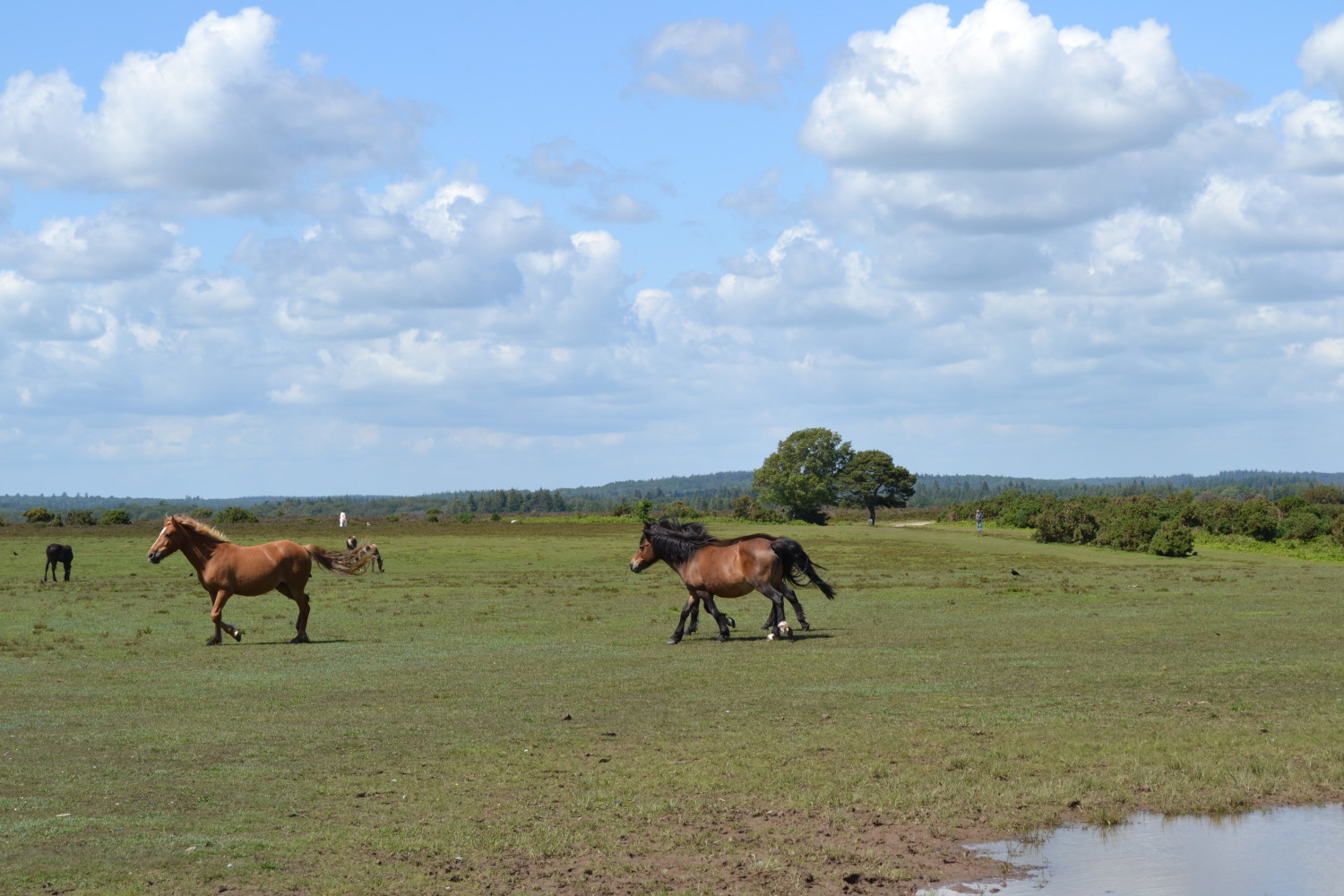 Property image 47 for THCA857