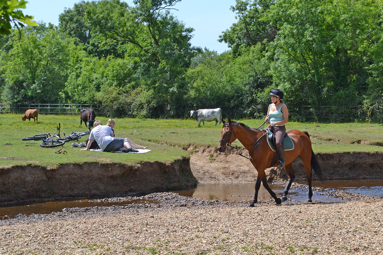 Property image 53 for THCA326