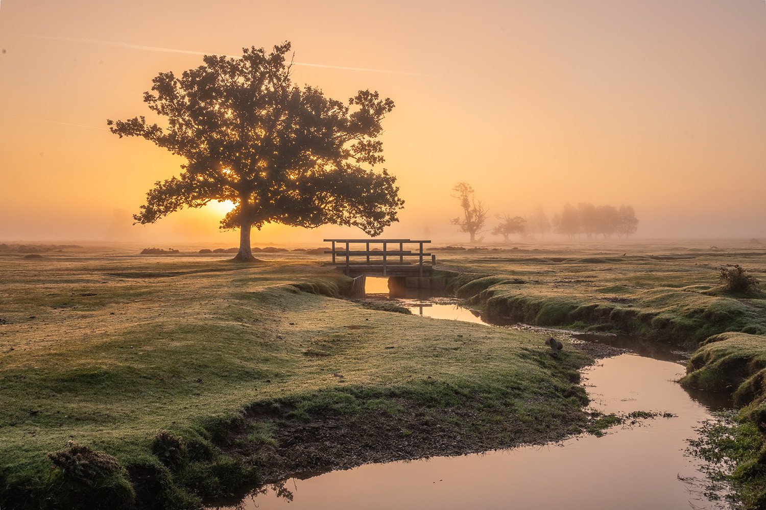 Property image 54 for THCA326