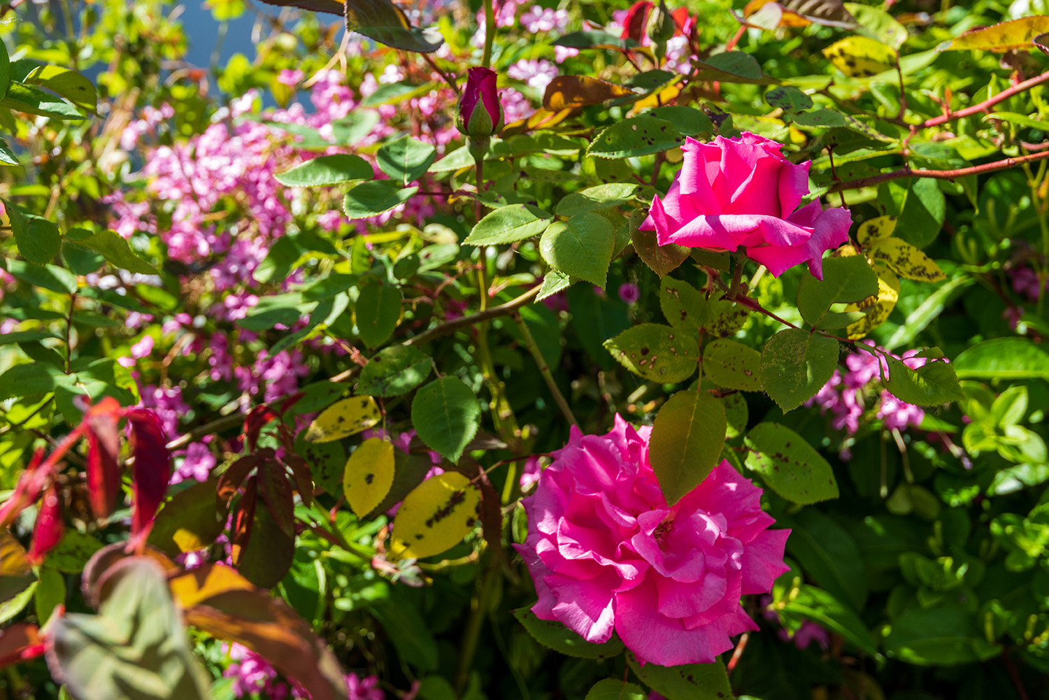 Property image 23 for THC24WAR