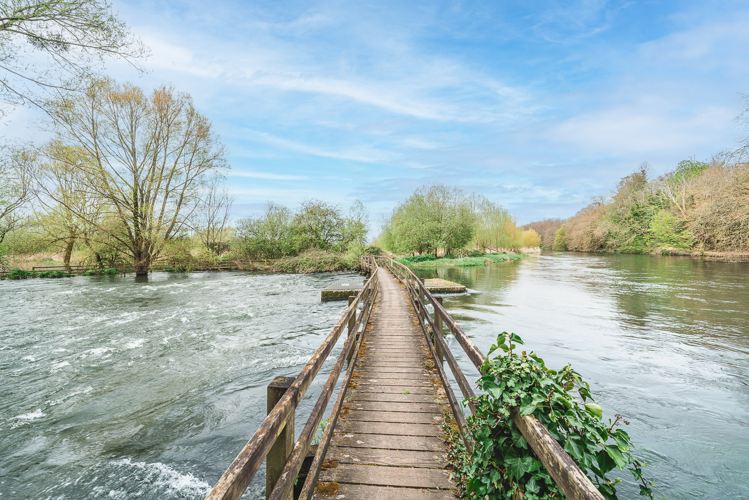 Property image 31 for THCA859