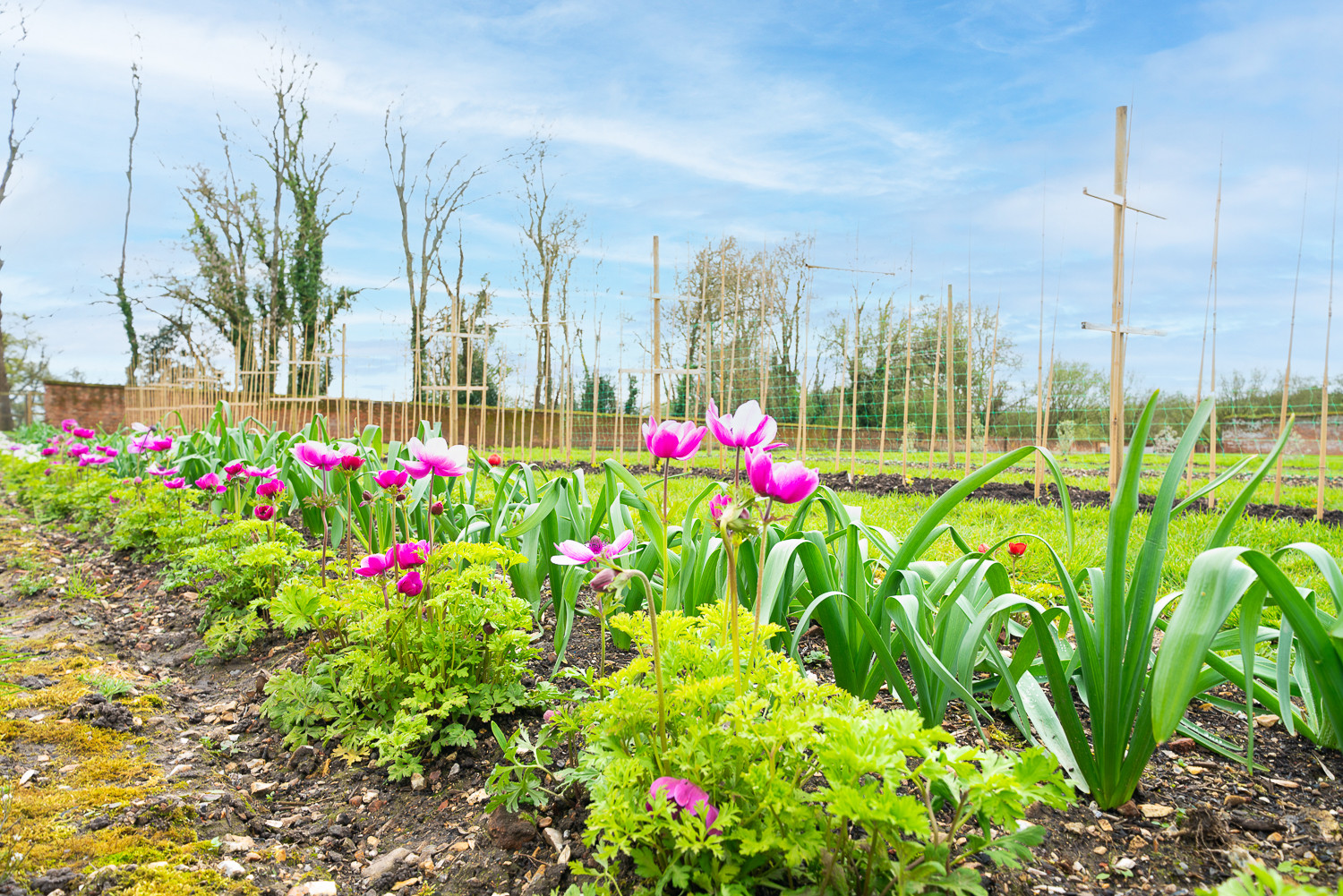 Property image 36 for THCA855