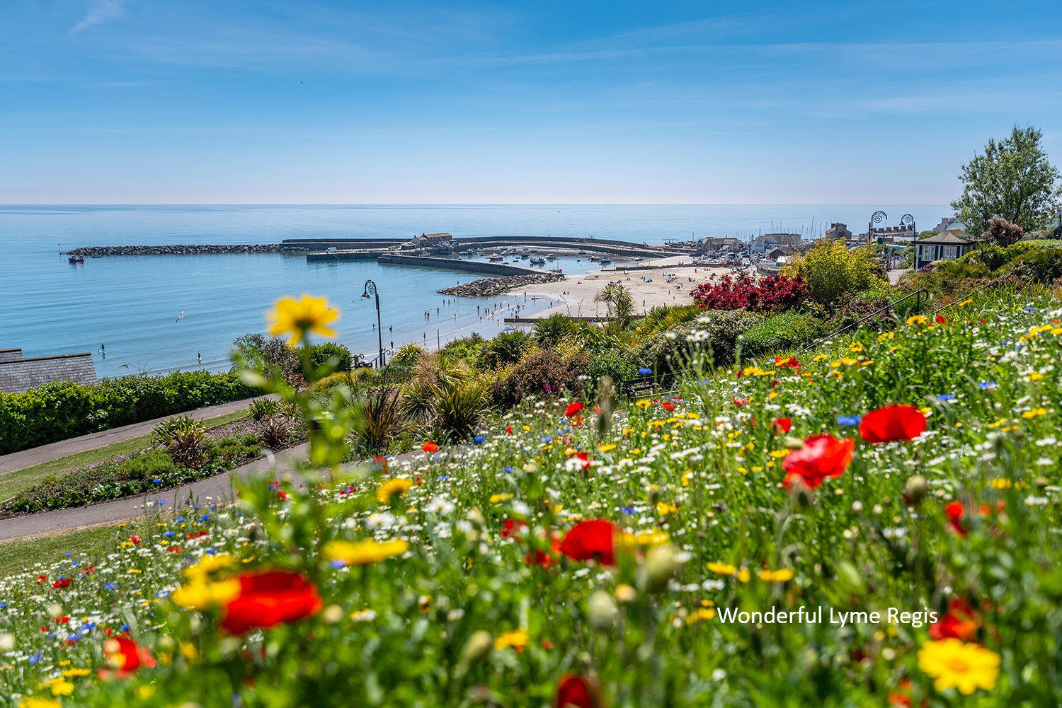 Looking across the gardens to the beach and Cobb in Lyme Regis