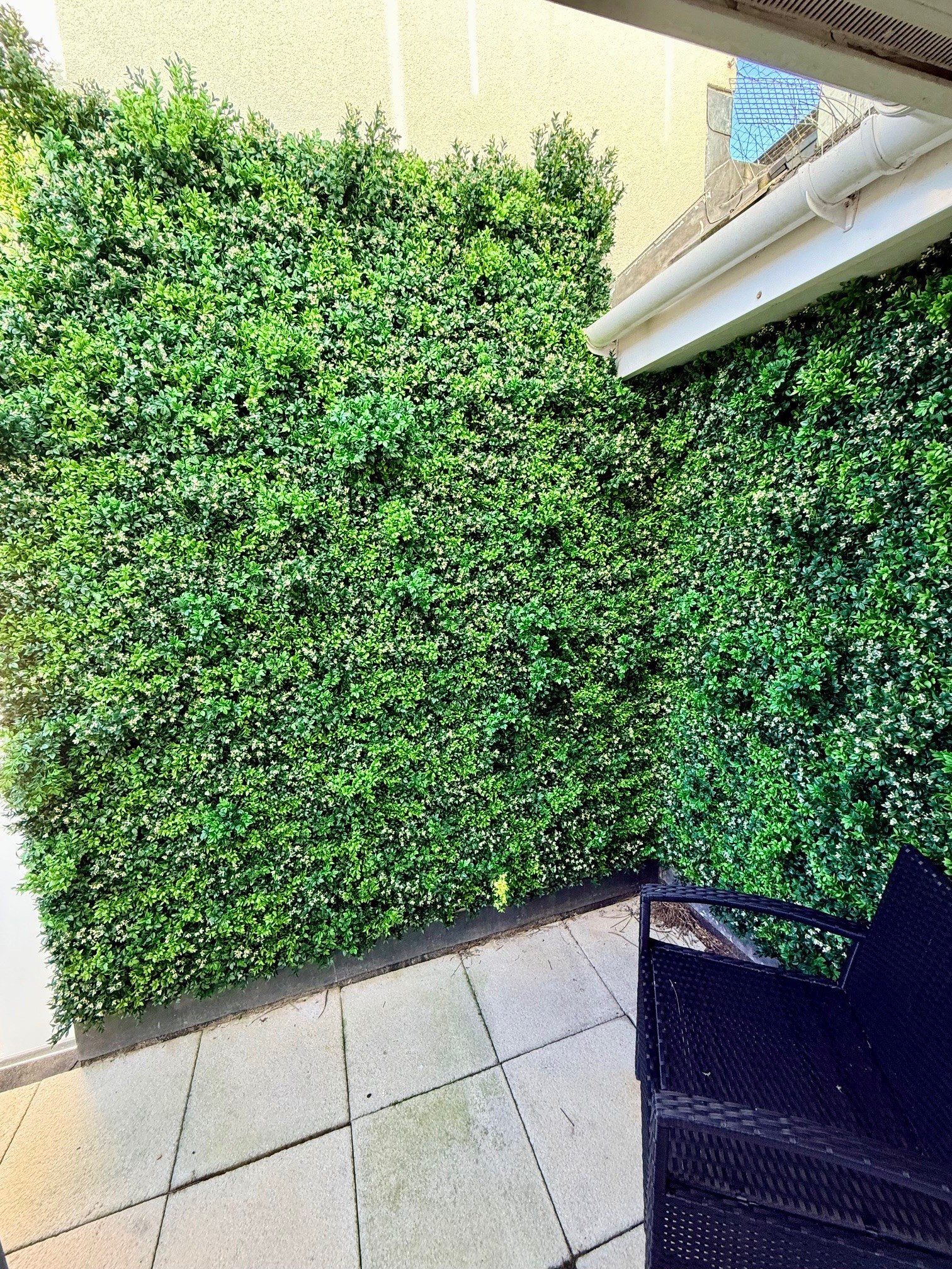 Property image 32 for THCSANC7