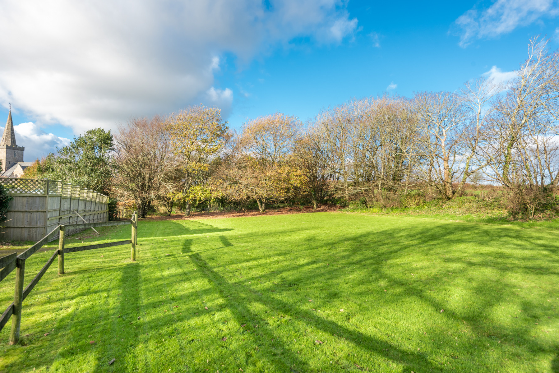 Communal dog walking area 