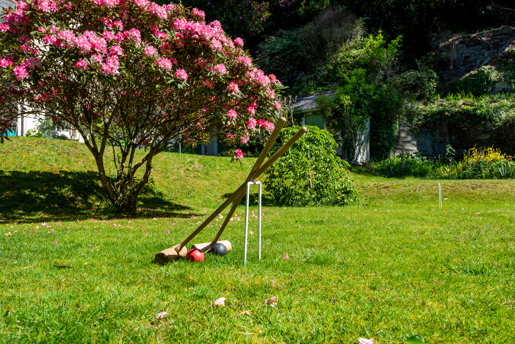Croquet lawn for your enjoyment