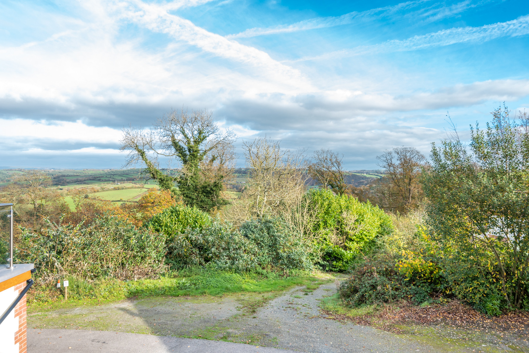 Property image 30 for THCHIVE