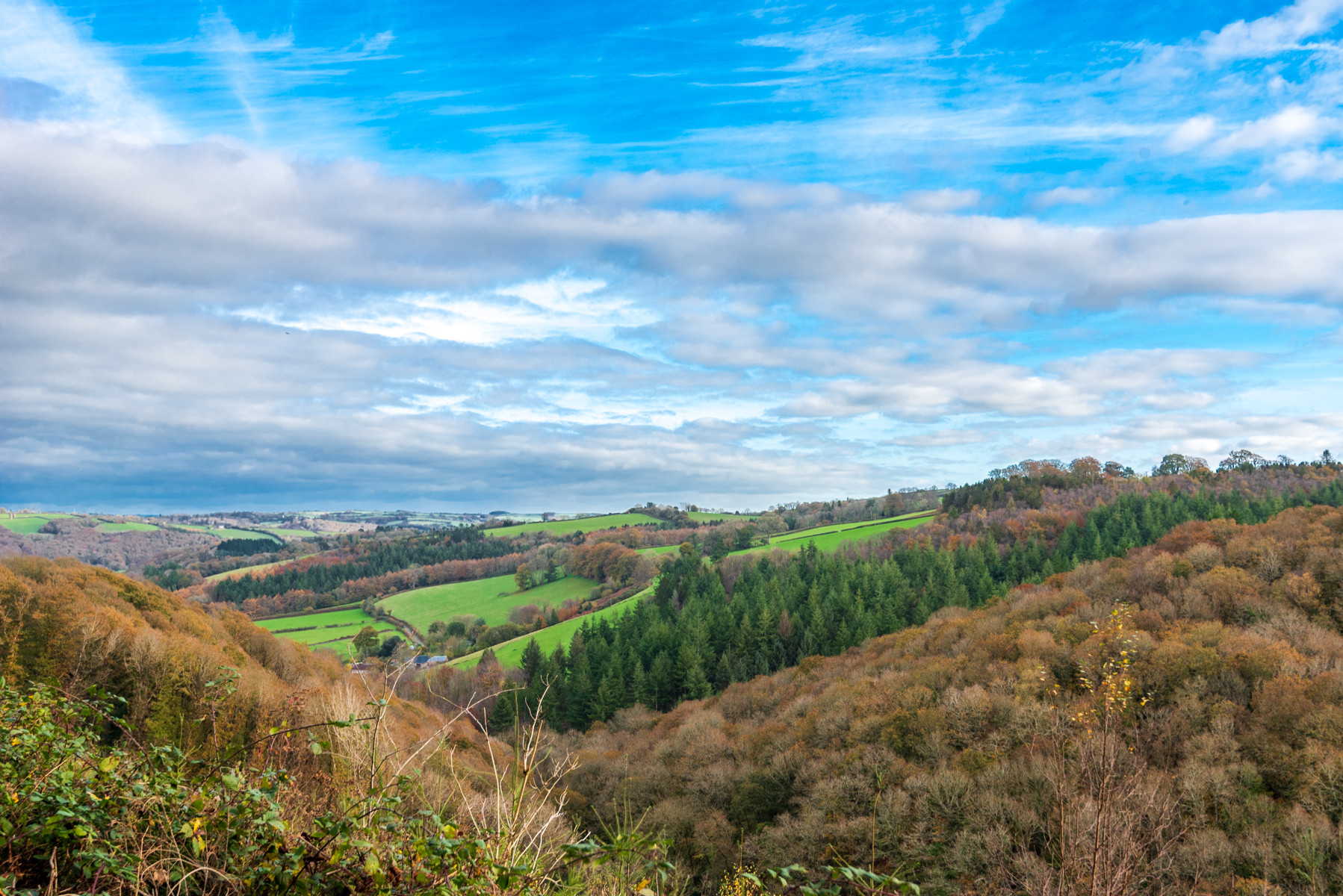 Property image 32 for THCHIVE