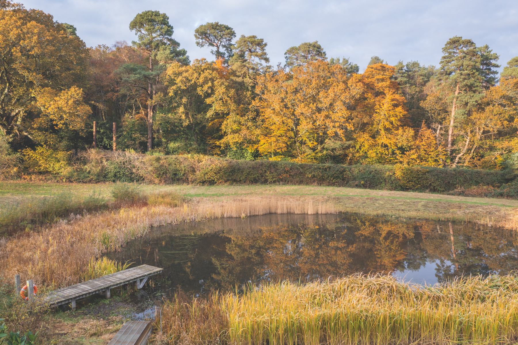 Whiteshoot Farm Redlynch New Forest Cottages