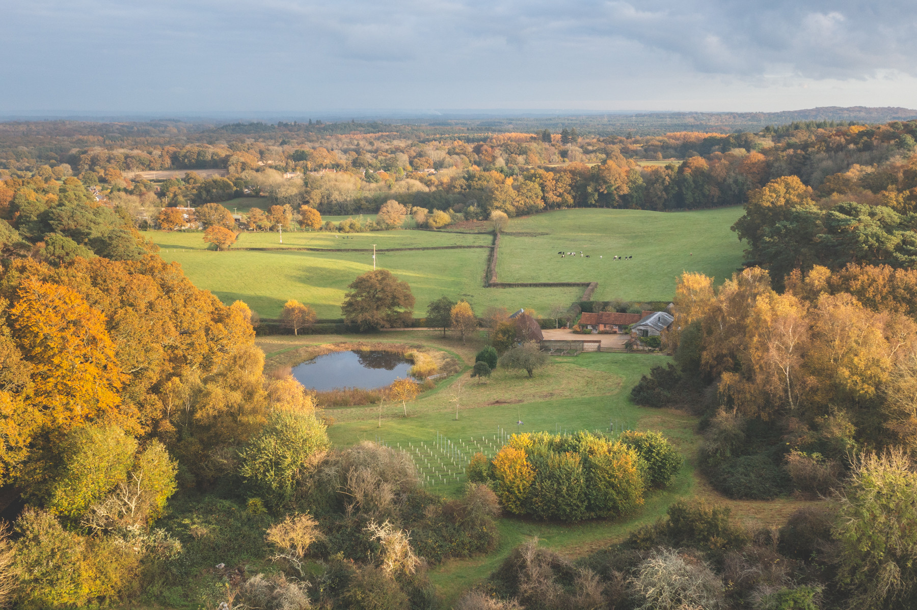 Whiteshoot Farm Redlynch New Forest Cottages