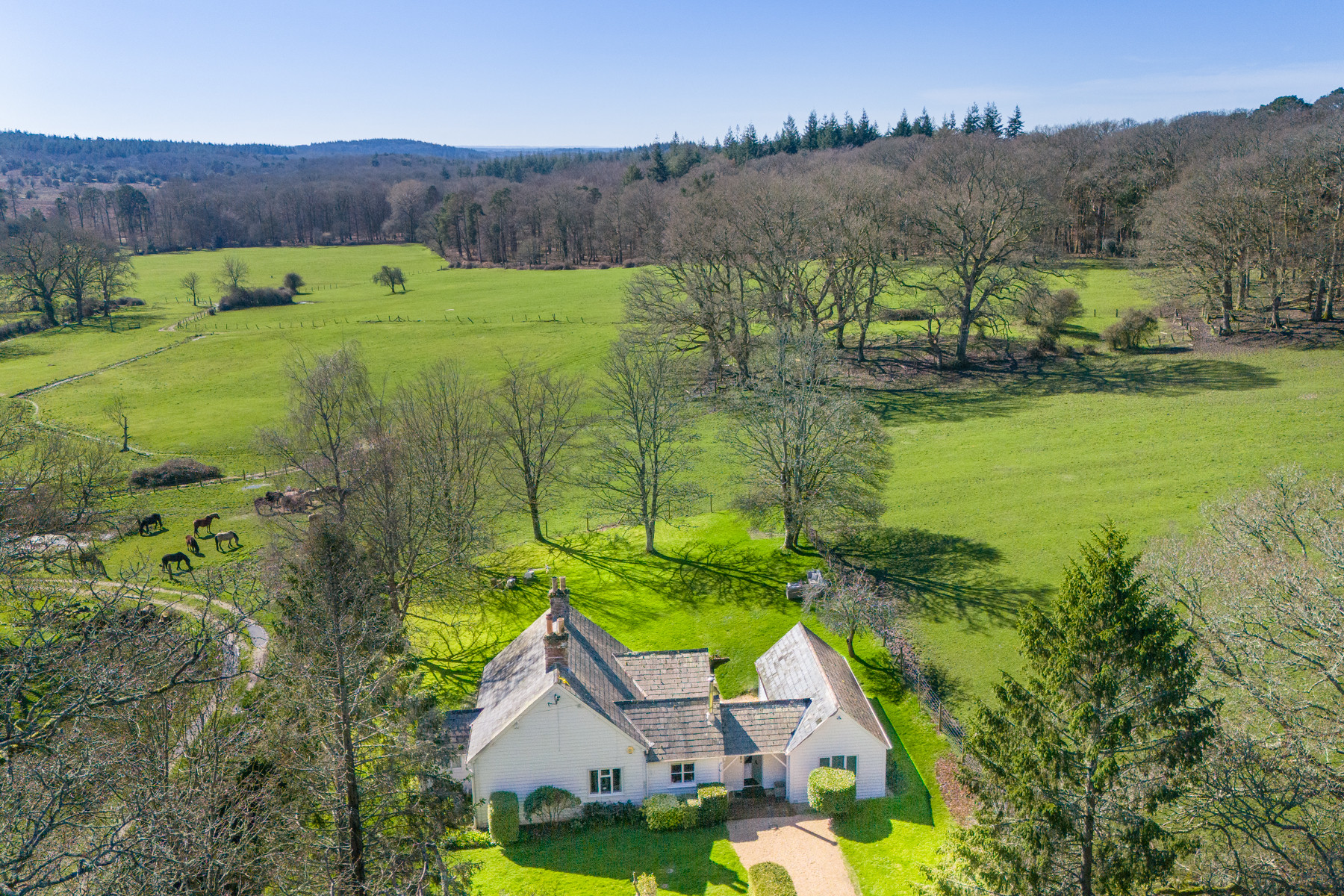 Property image 1 for THCA911