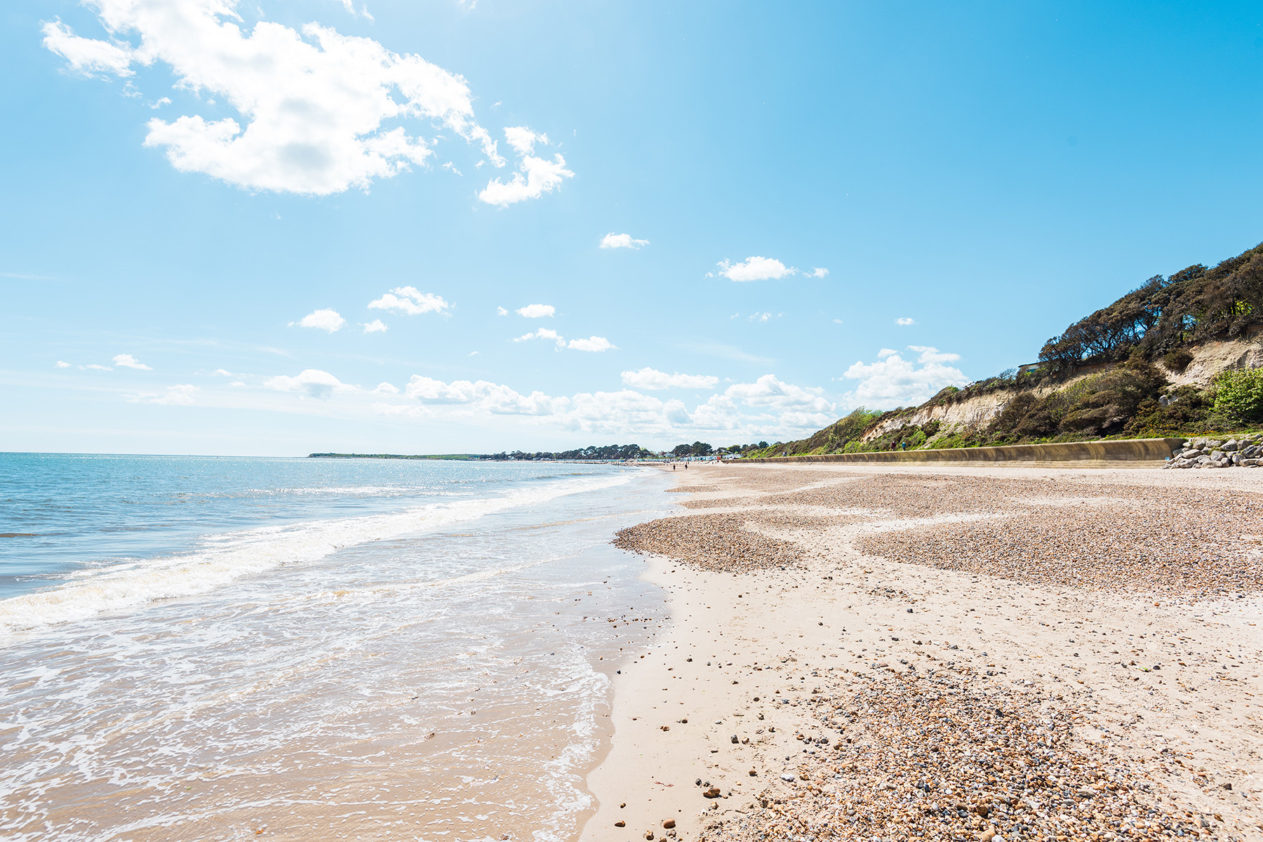 Property image 22 for THCA429