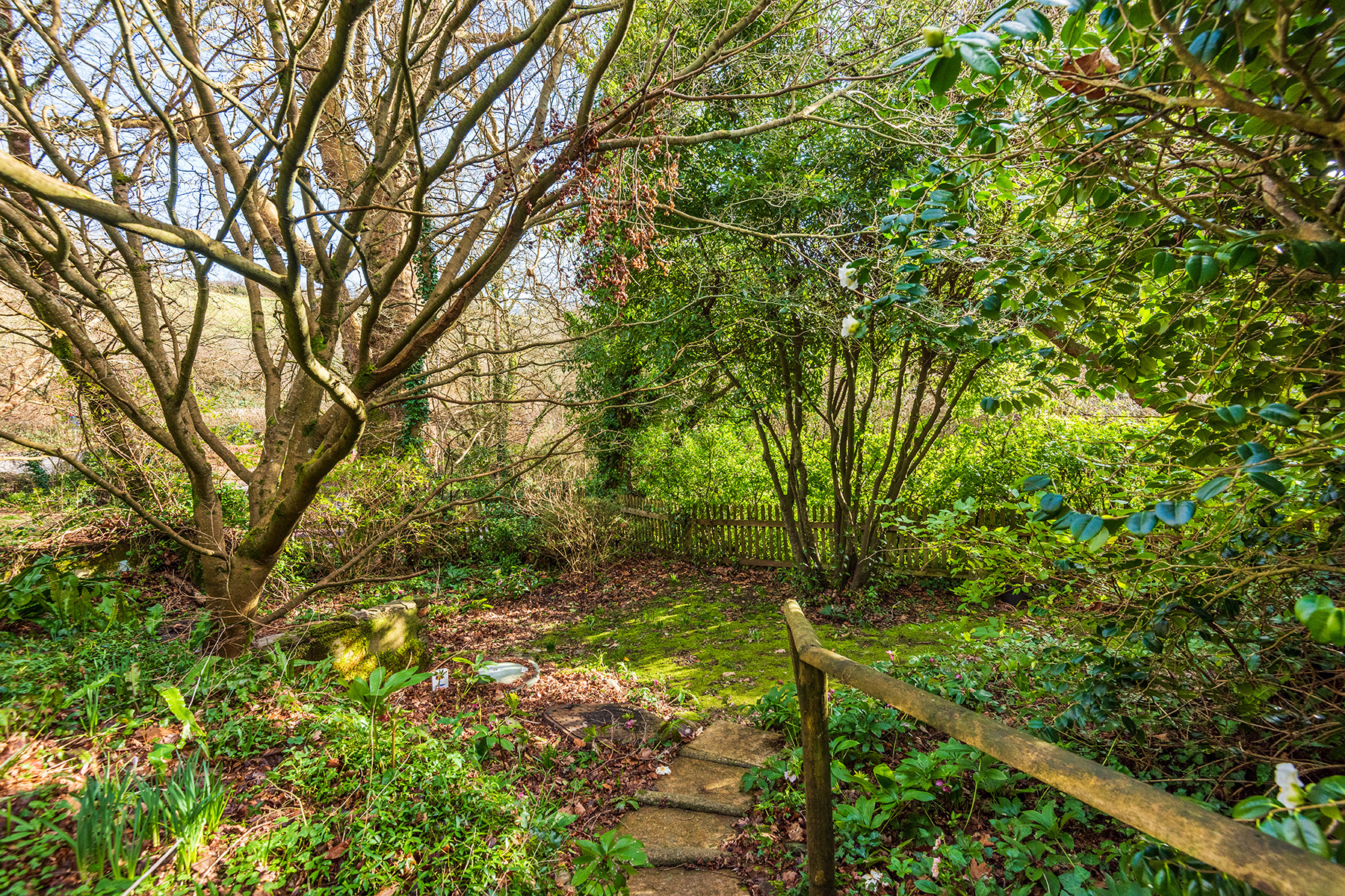 Another look at the garden