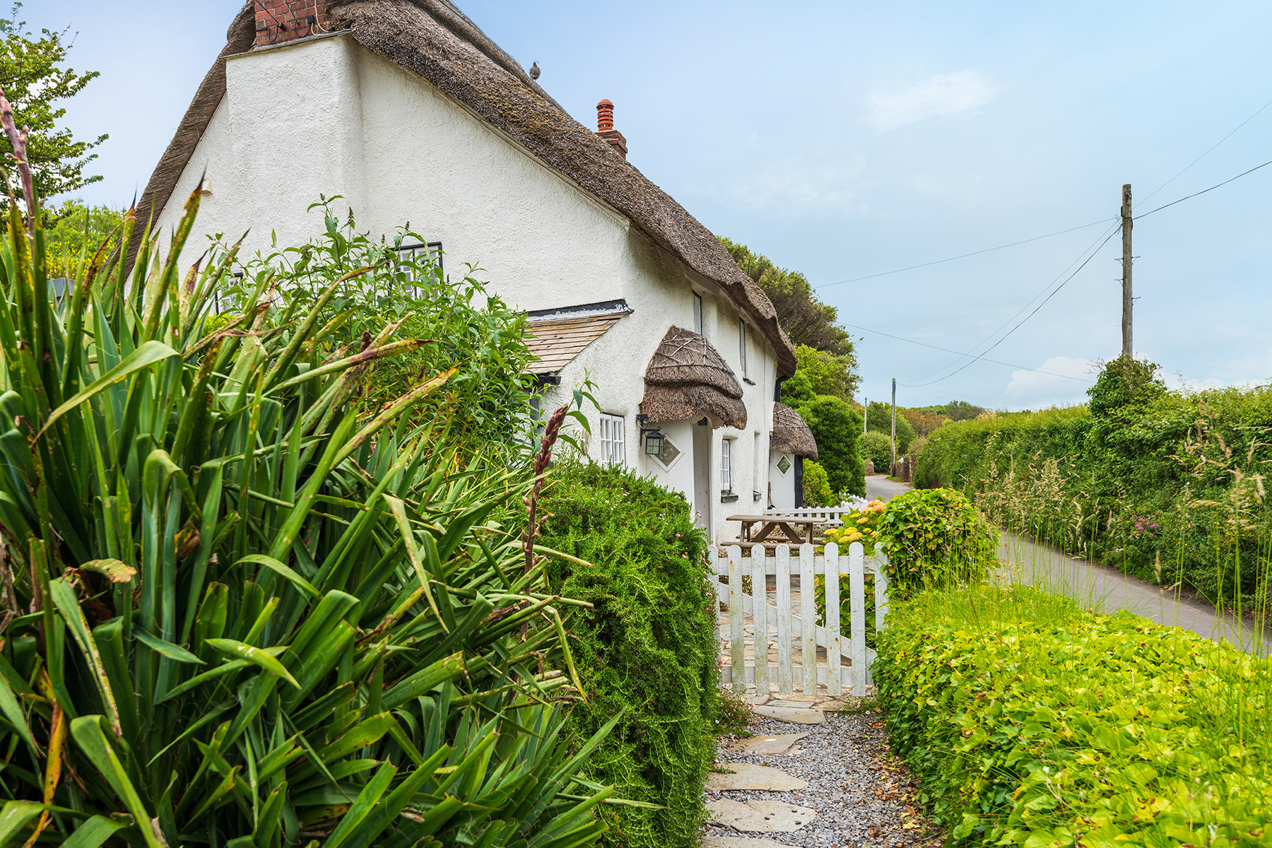 Pretty path to Primrose Cottage. 