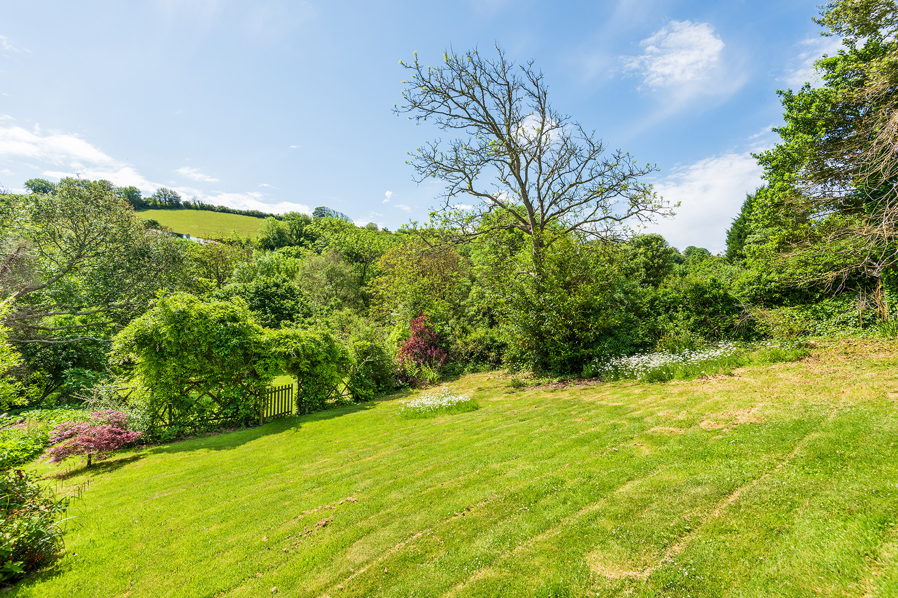 Property image 41 for THCWBBROO