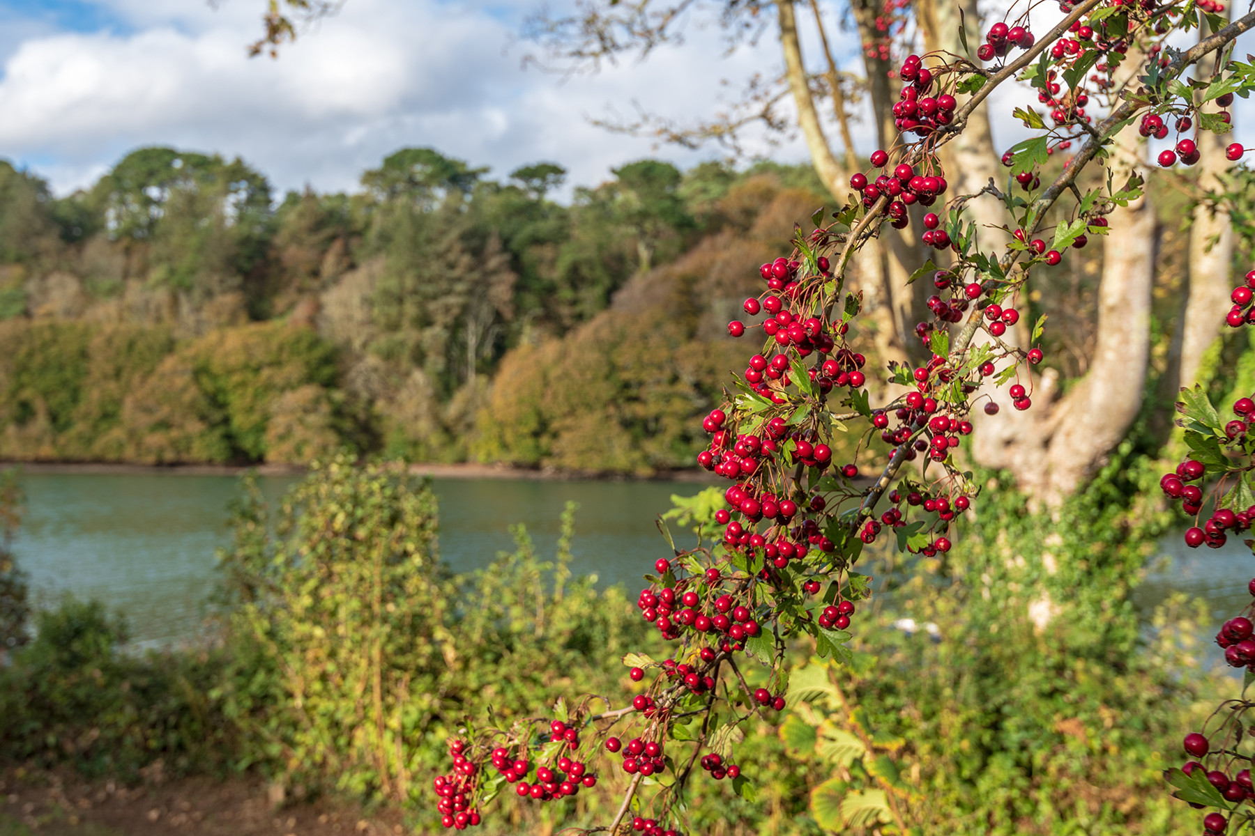 Property image 33 for THCGWIND