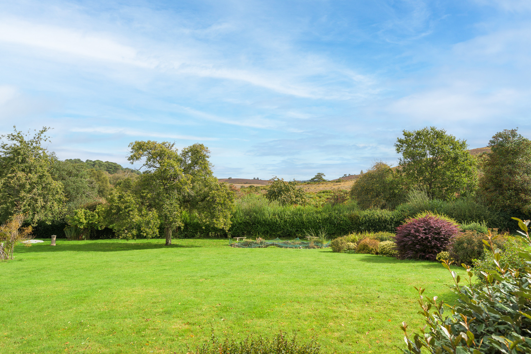 Property image 42 for THCA857