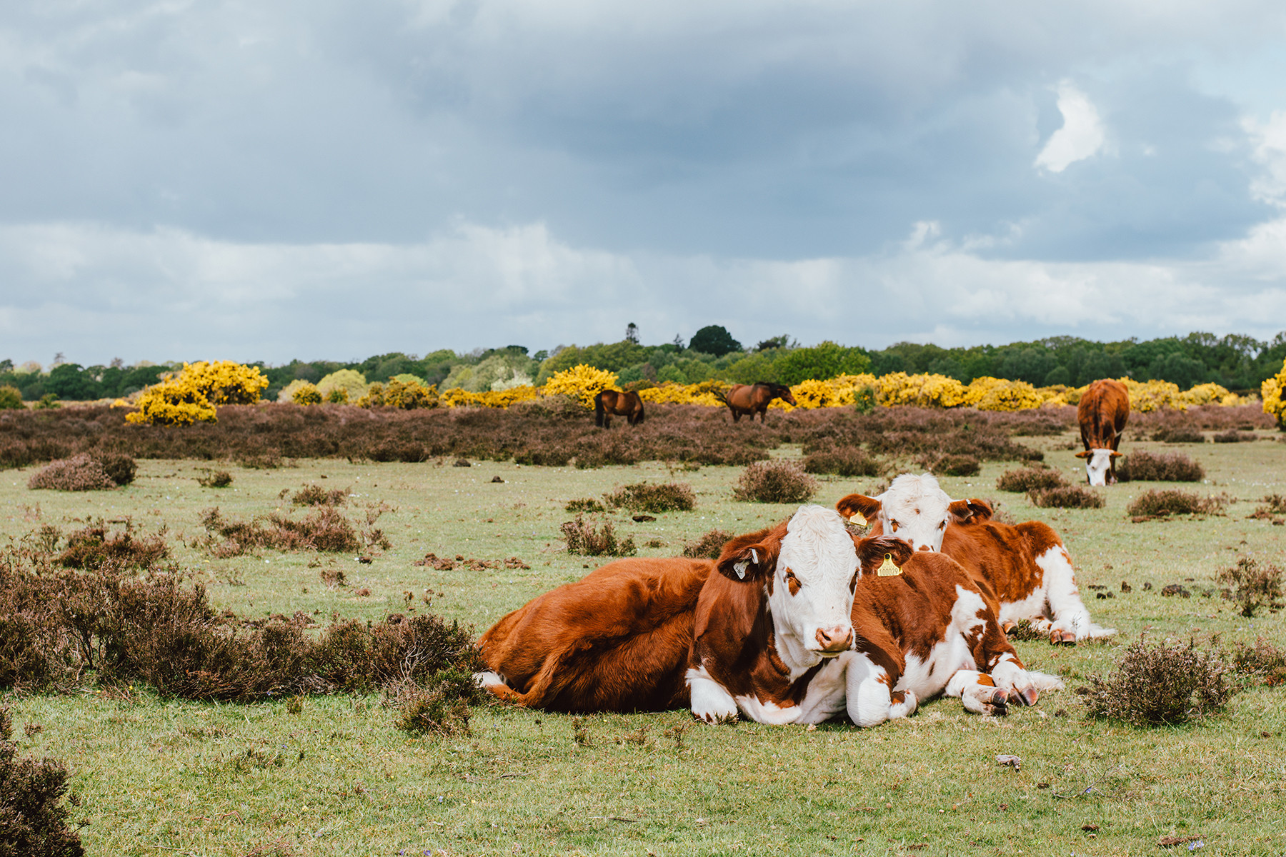 Property image 24 for THCA902