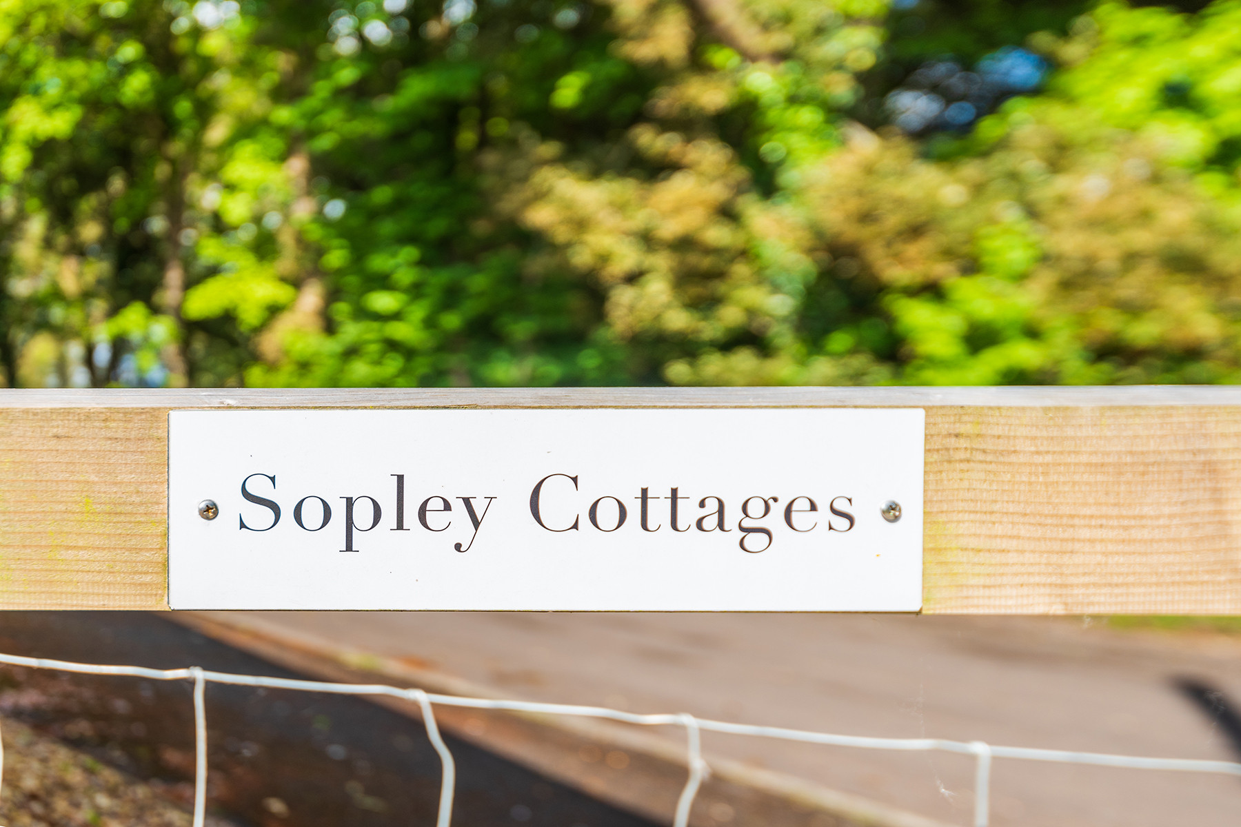 Property image 2 for THCA429