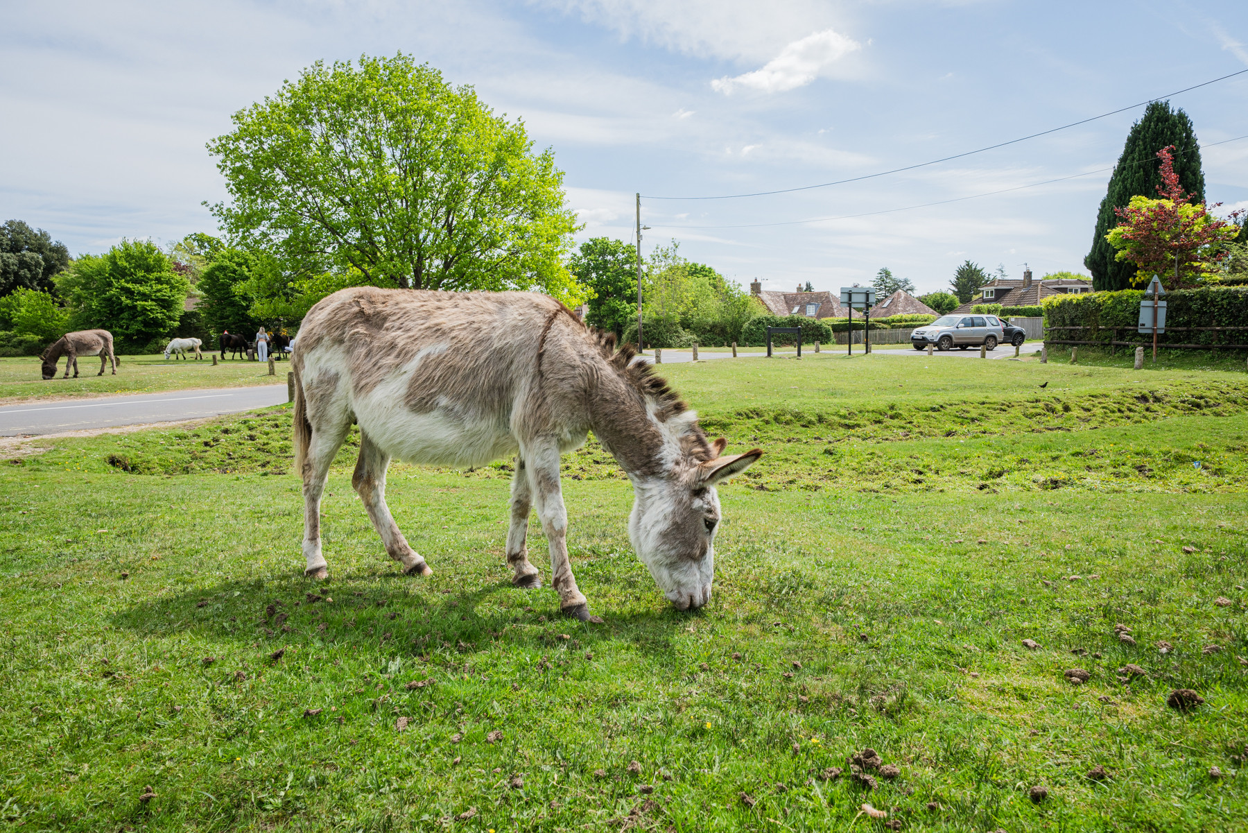 Property image 8 for THCA255