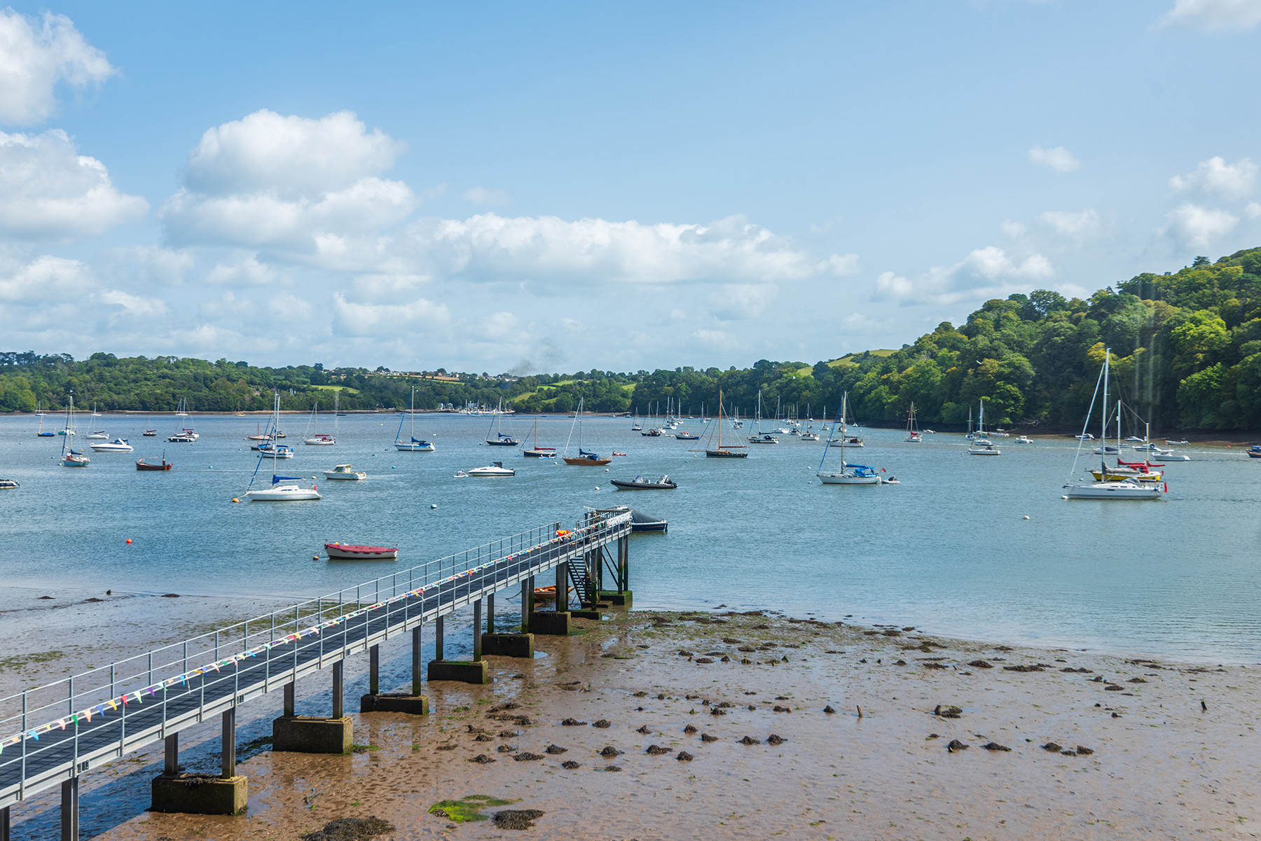 Property image 19 for THCDUNEDI