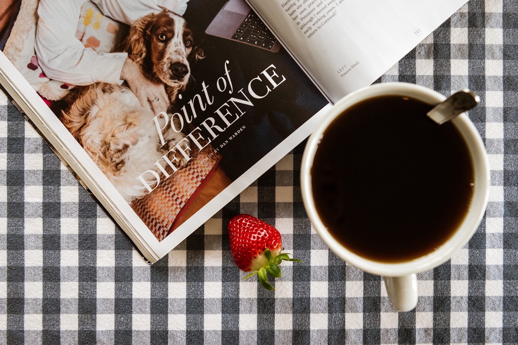 Property image 38 for THCOSCAPT