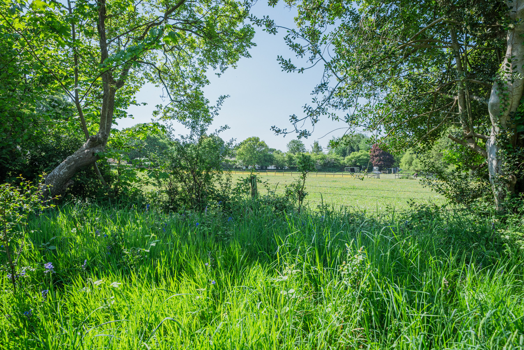 Property image 38 for THCA858