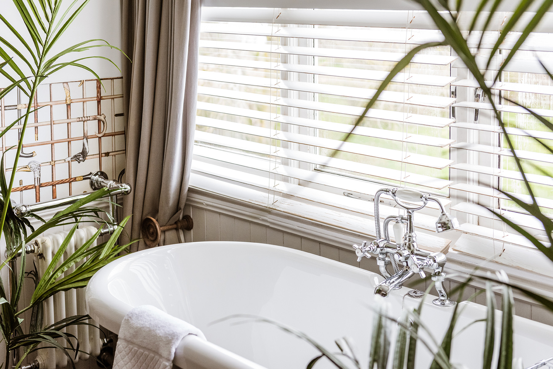 Property image 44 for THCOSCAPT