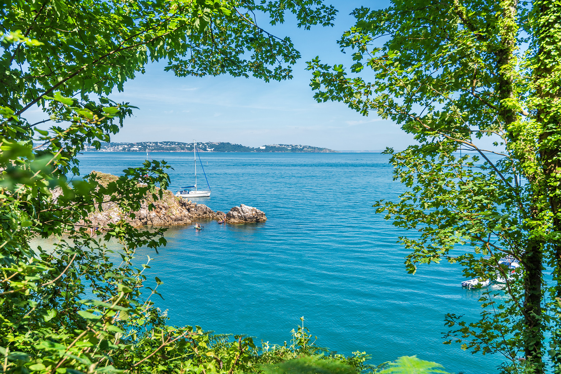 Property image 47 for THCDANECR