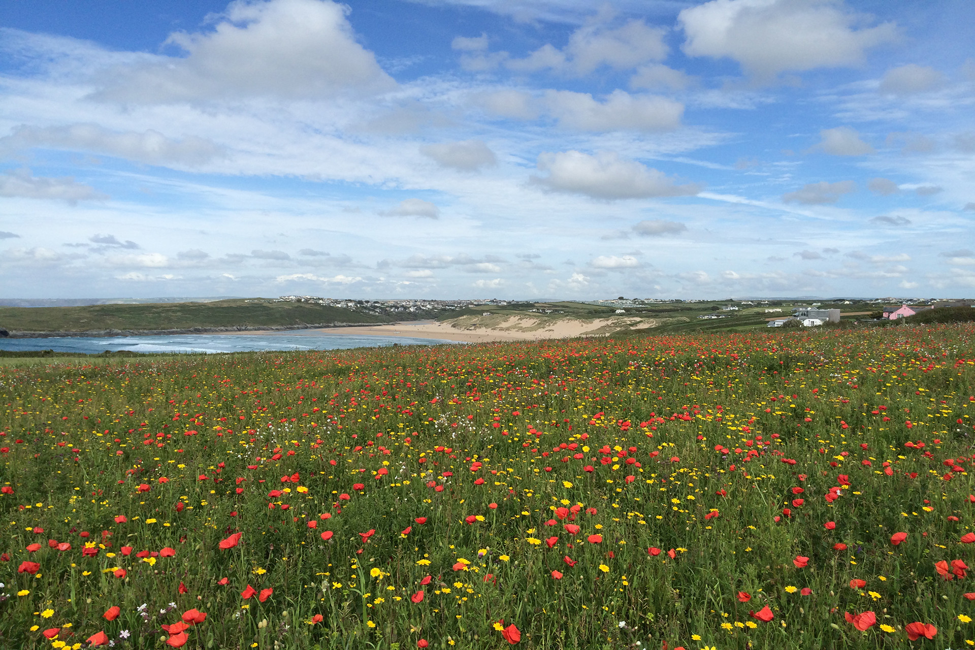 Visit Cornwall Crantock Julia Hughes