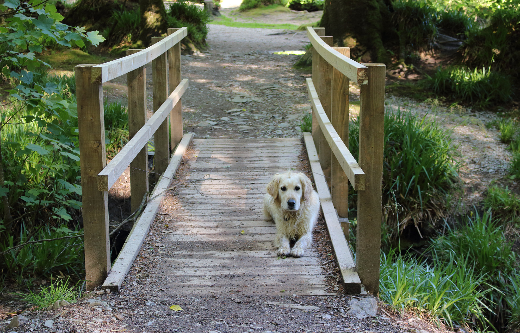 Property image 15 for THC864