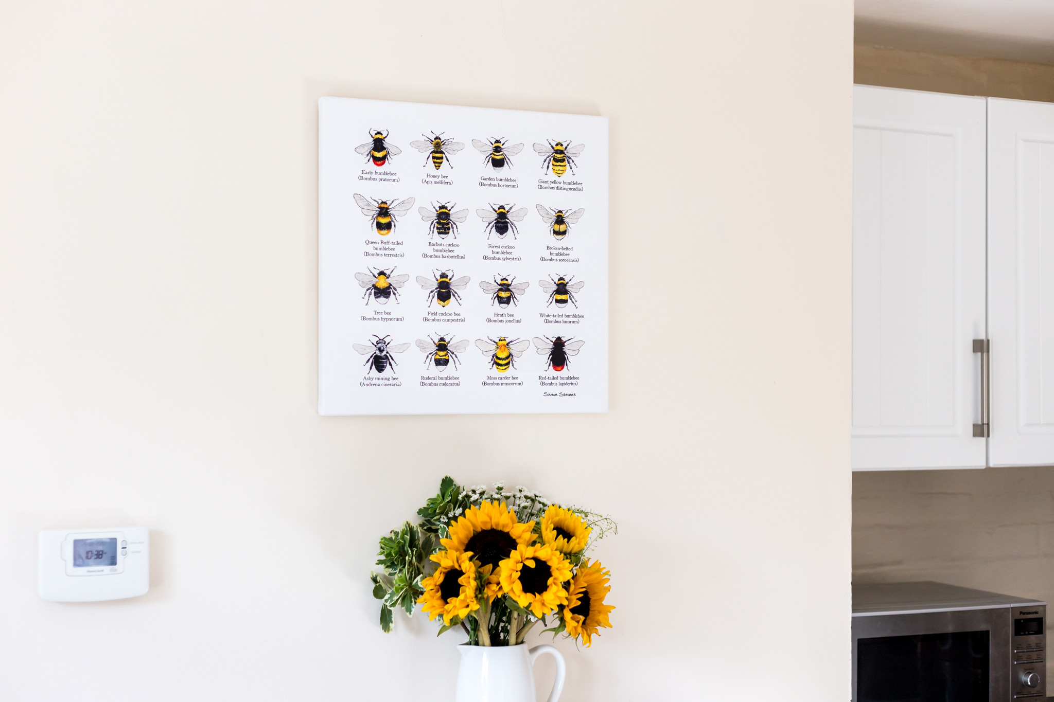 Property image 10 for THCA187