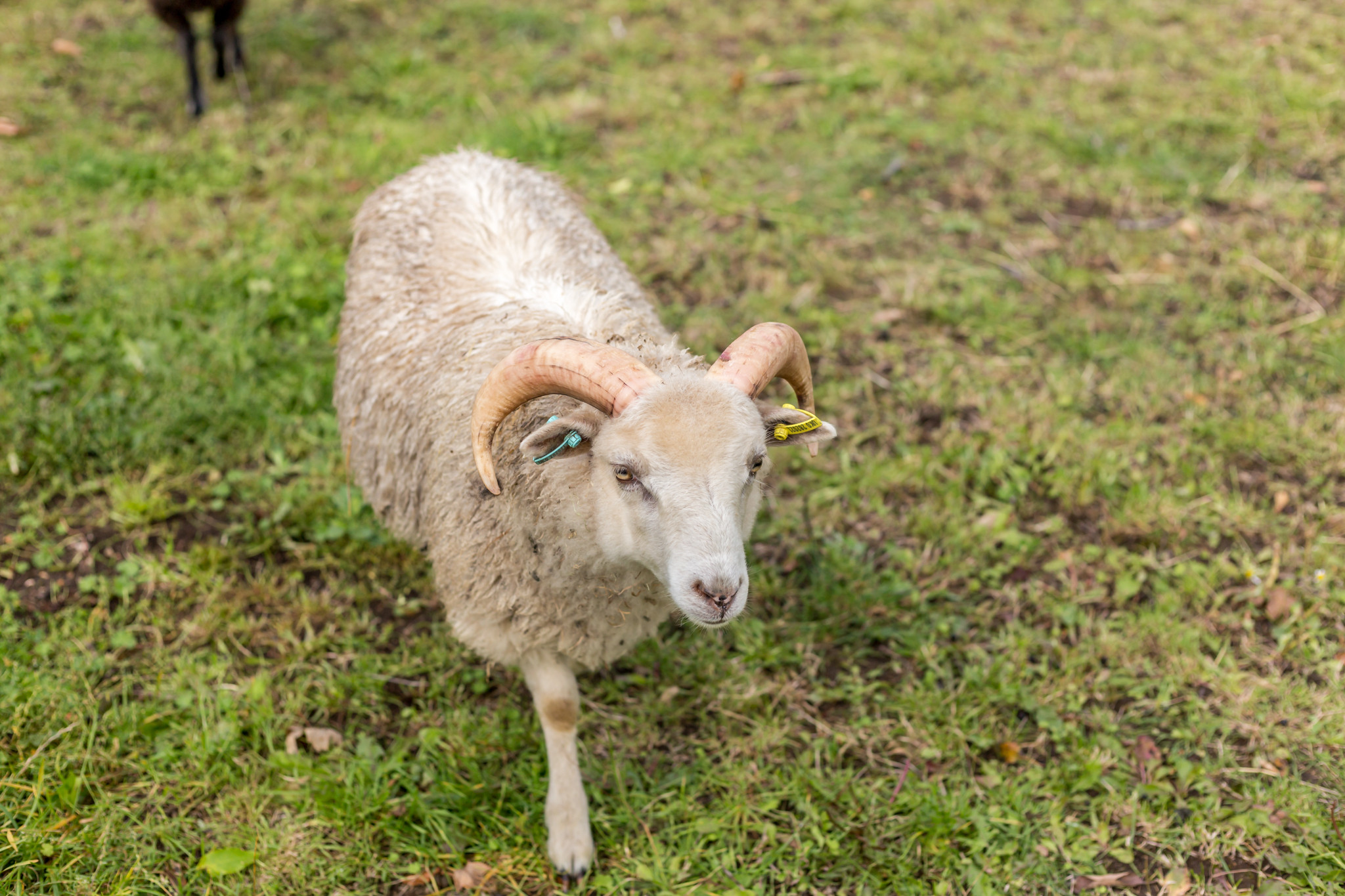 Property image 28 for THCA187