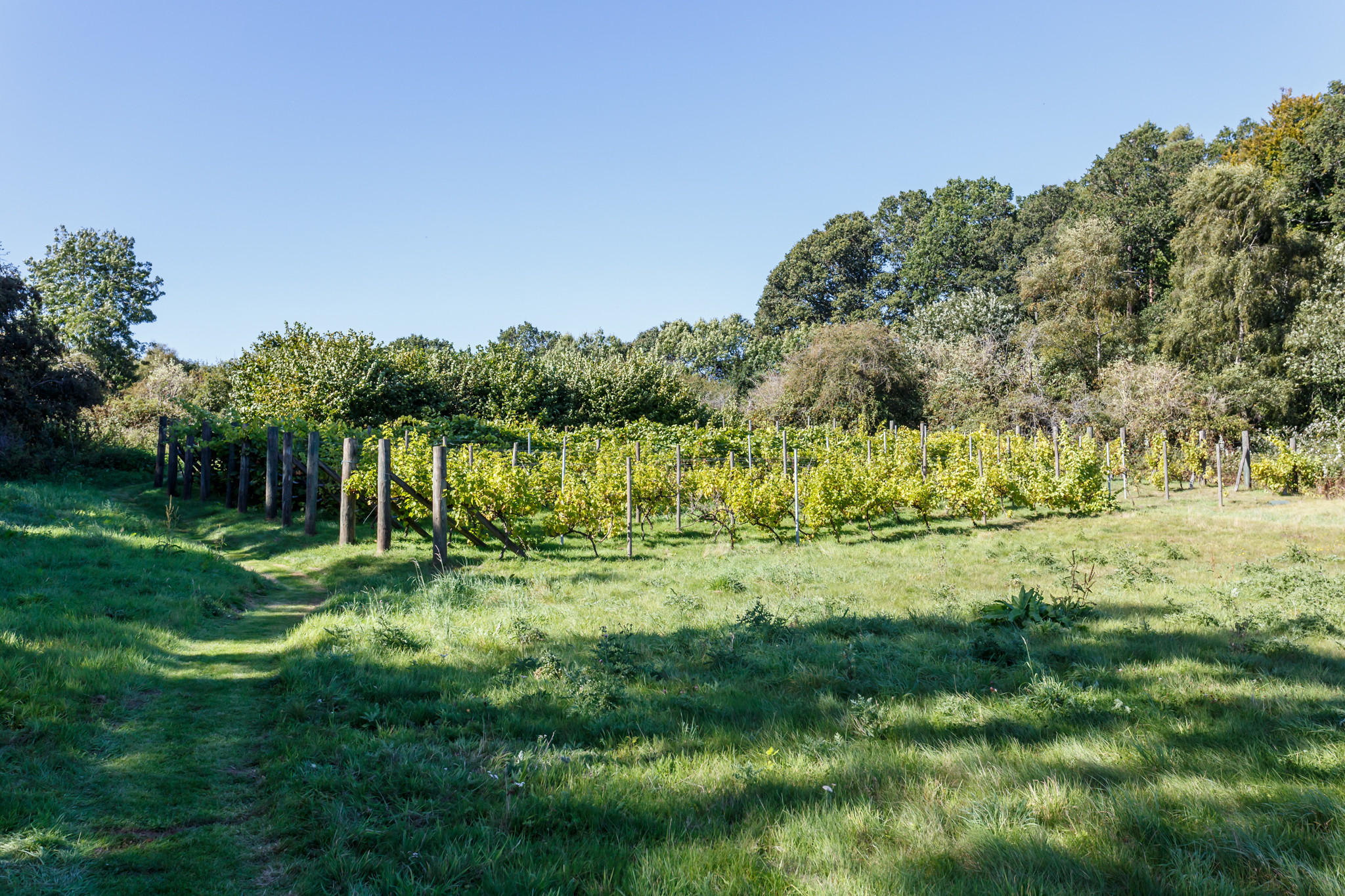 Whiteshoot Farm Redlynch New Forest Cottages