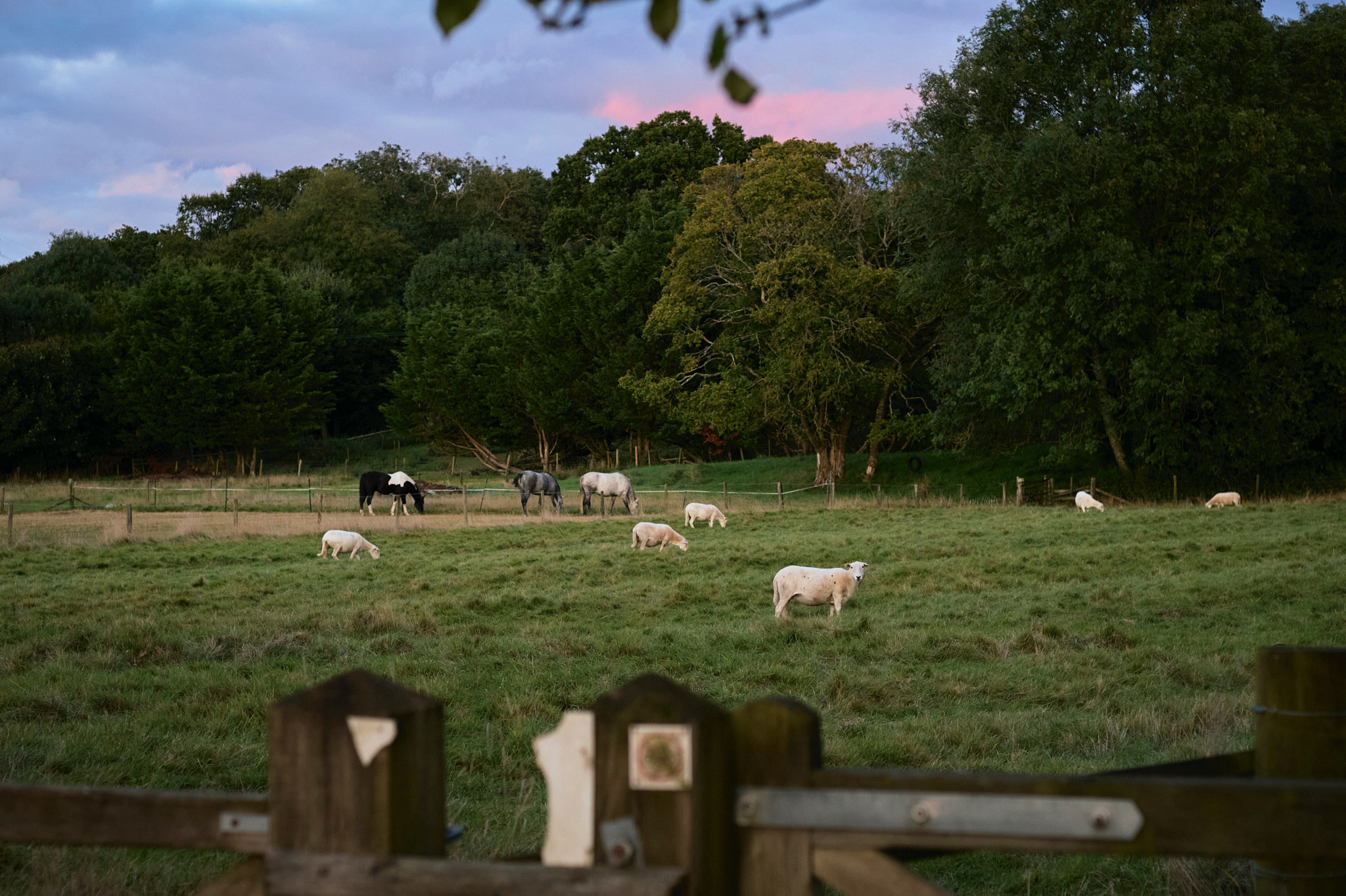 Property image 39 for THCA858