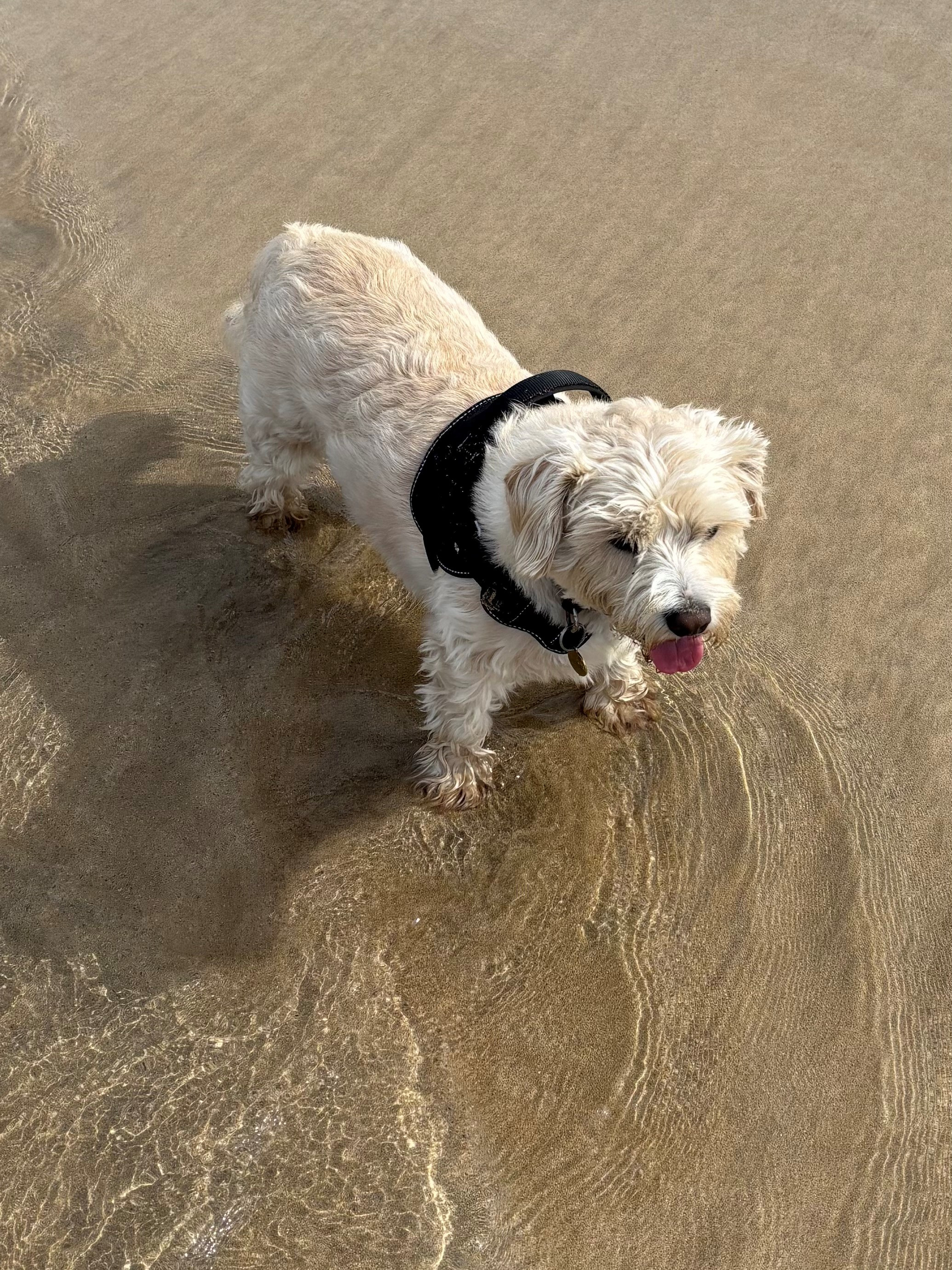 Donny at Towan Beach