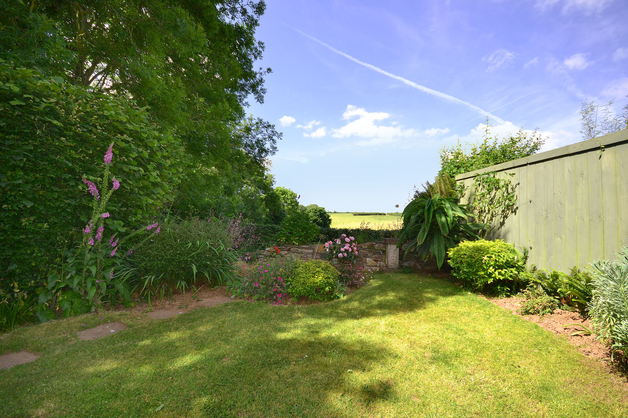 Another view of the lawn at 7 Primrose, Chillington