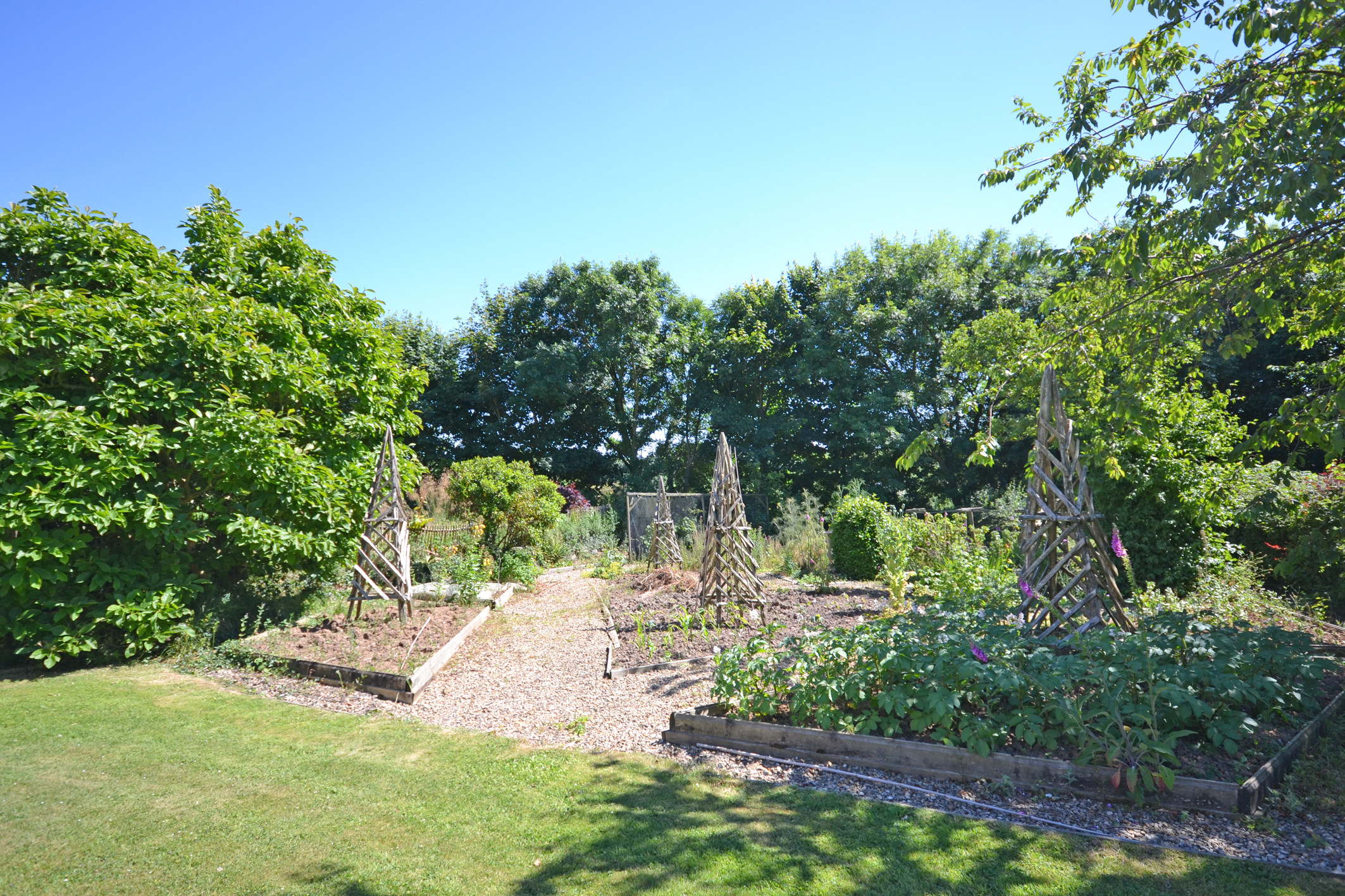 Another area of the beautiful garden.