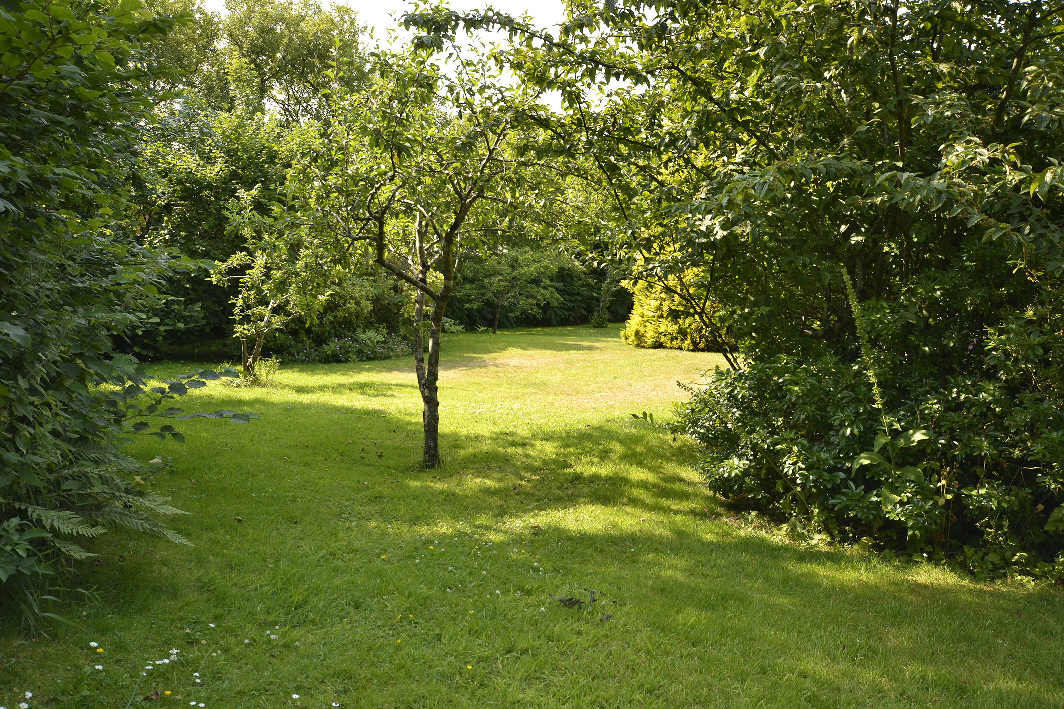 Property image 28 for THCAPPLE