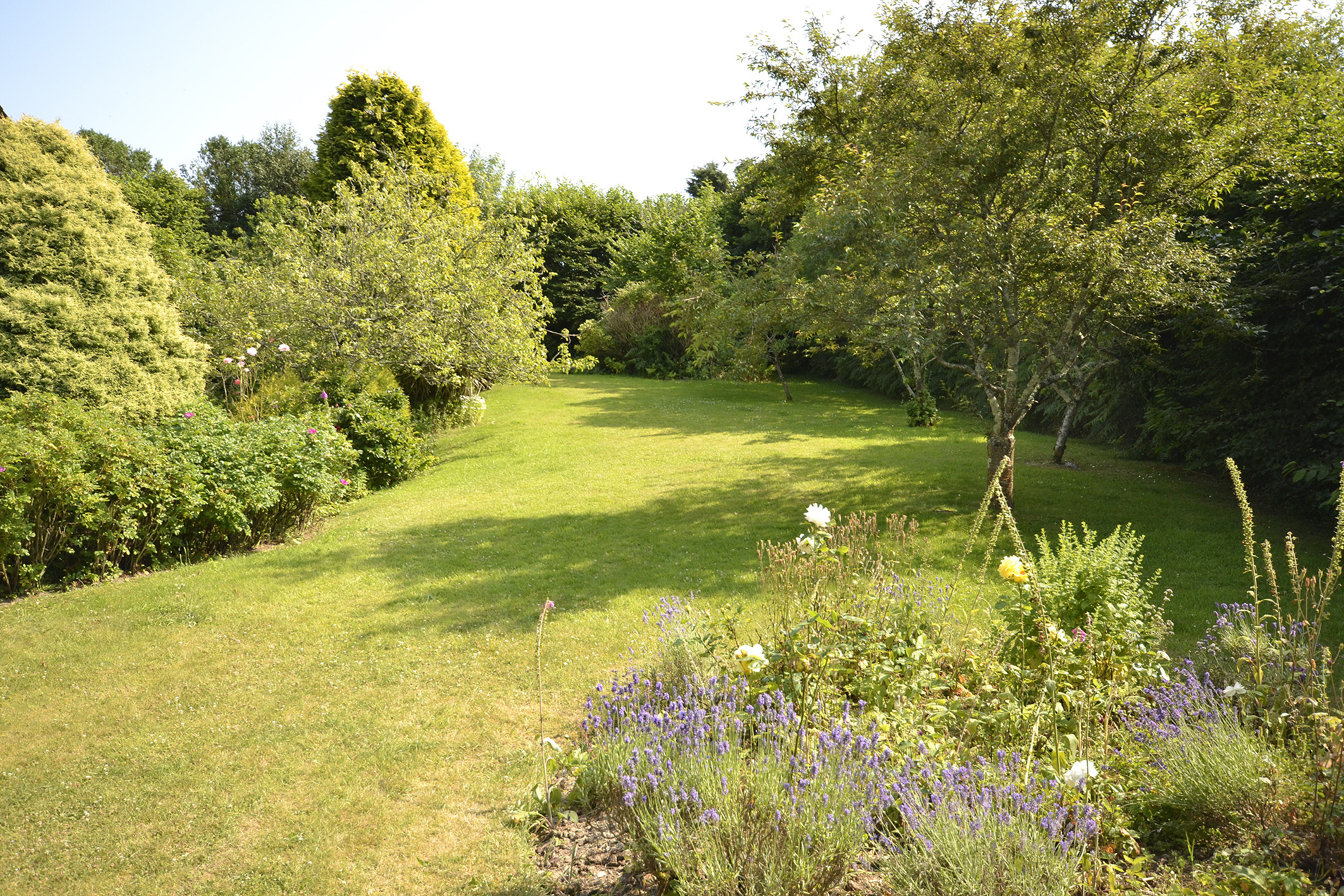 Property image 30 for THCAPPLE