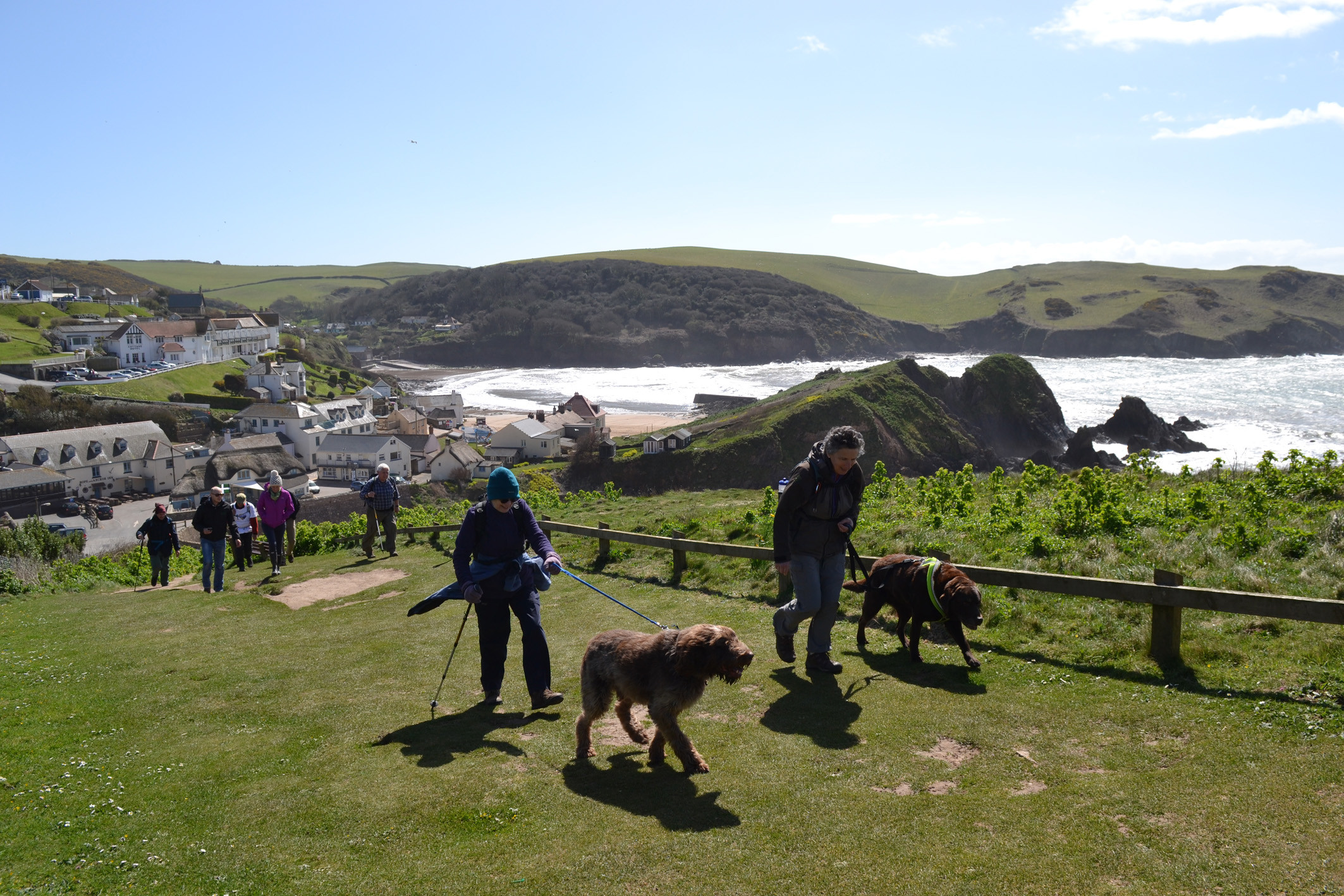 The South West Coast Path with Hope Cove in the background, ideal for hikers! 