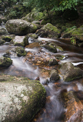 Property image 19 for THCGRABUR