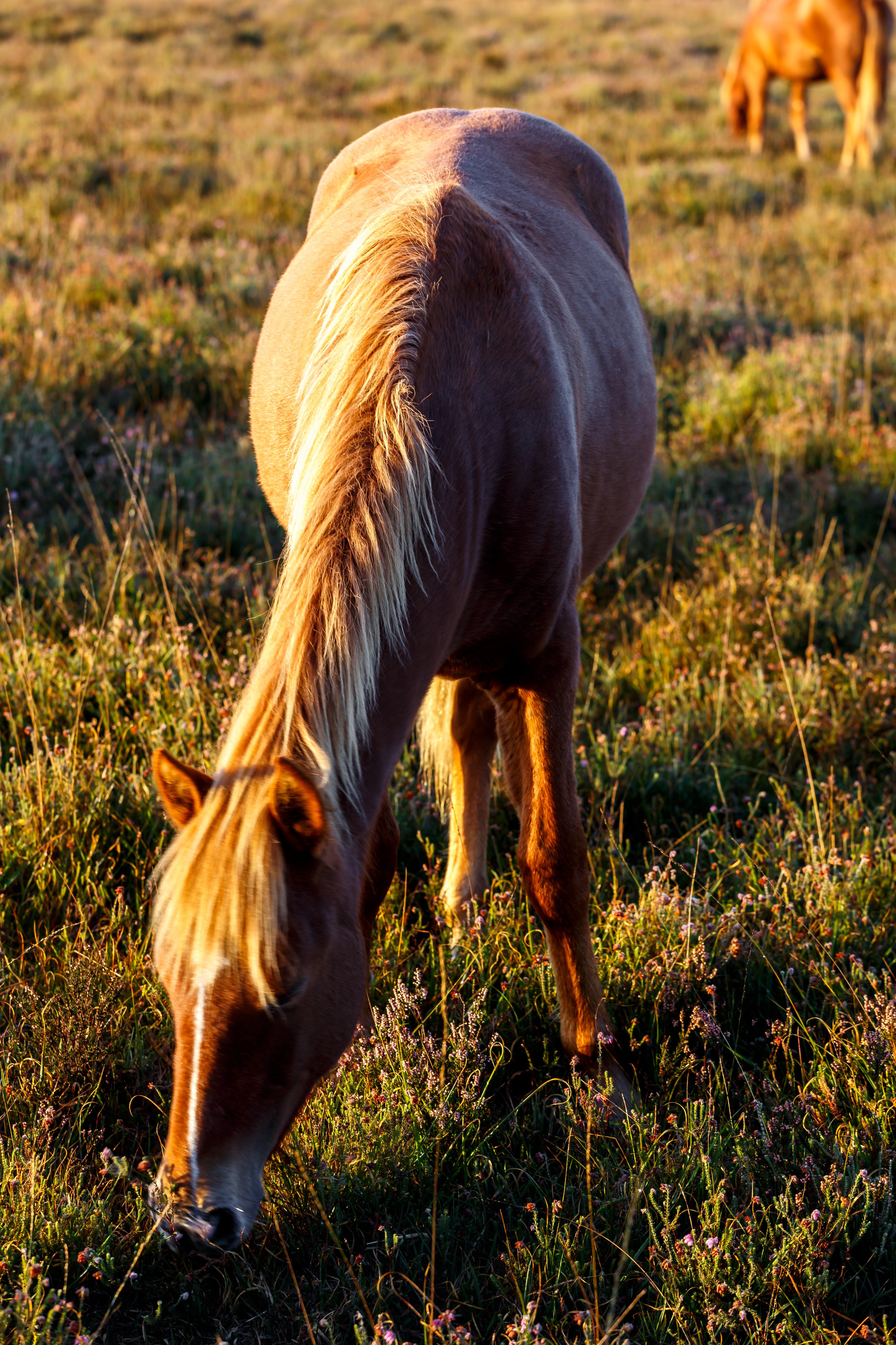 Property image 37 for THCA856