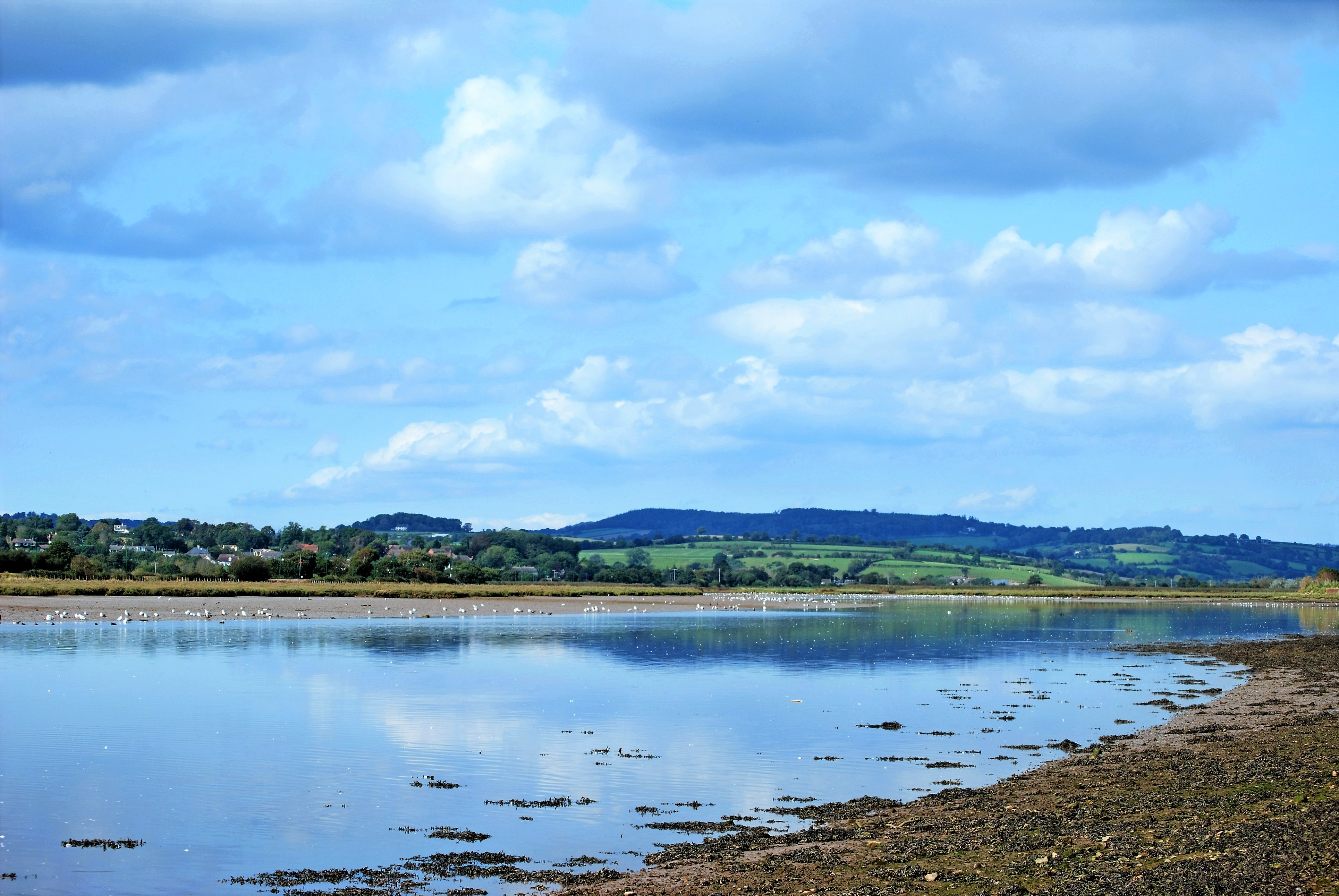 Nature reserve and river walks