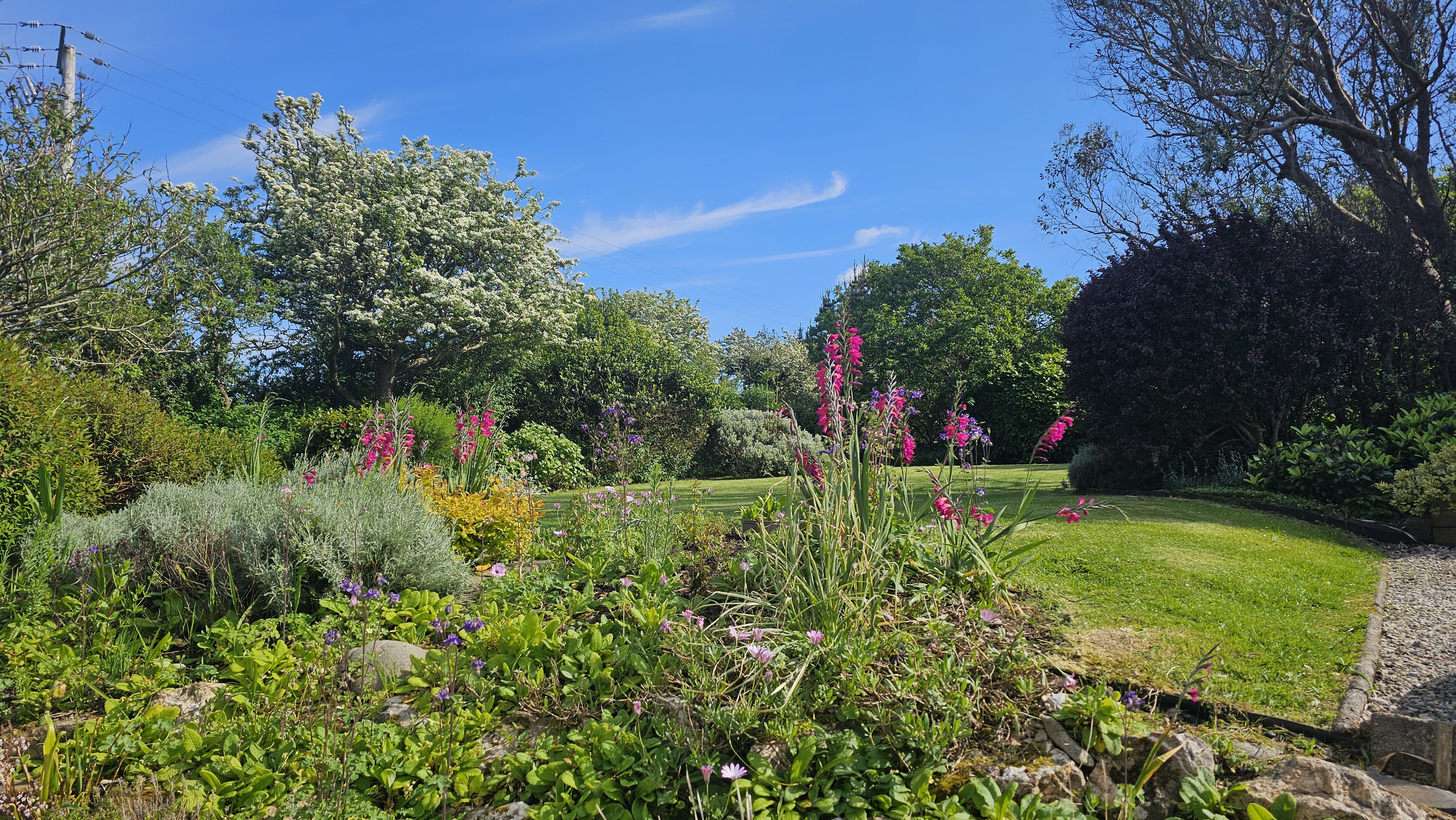 Property image 17 for THC049