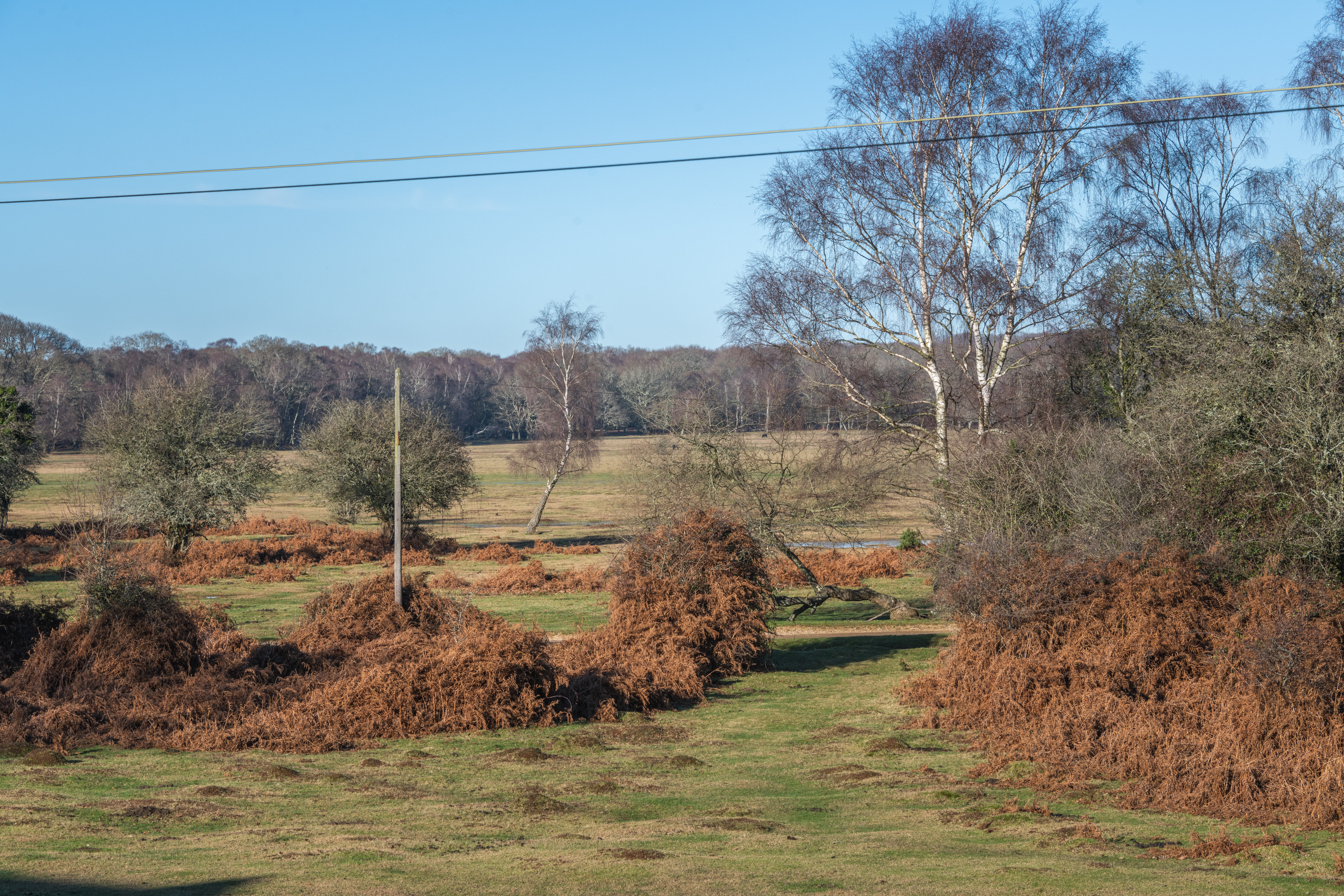 Property image 52 for THCA326