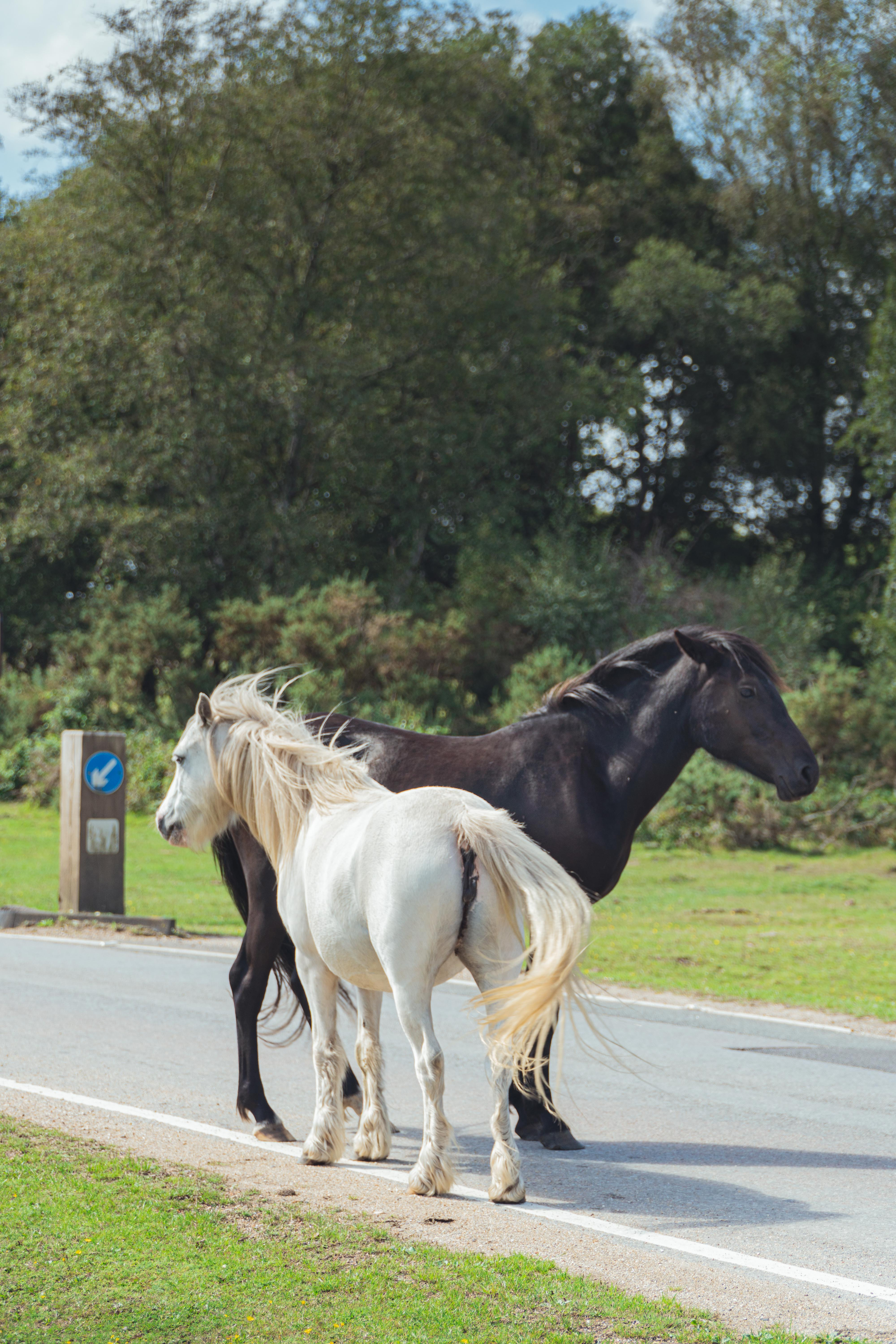 Property image 30 for THCA848