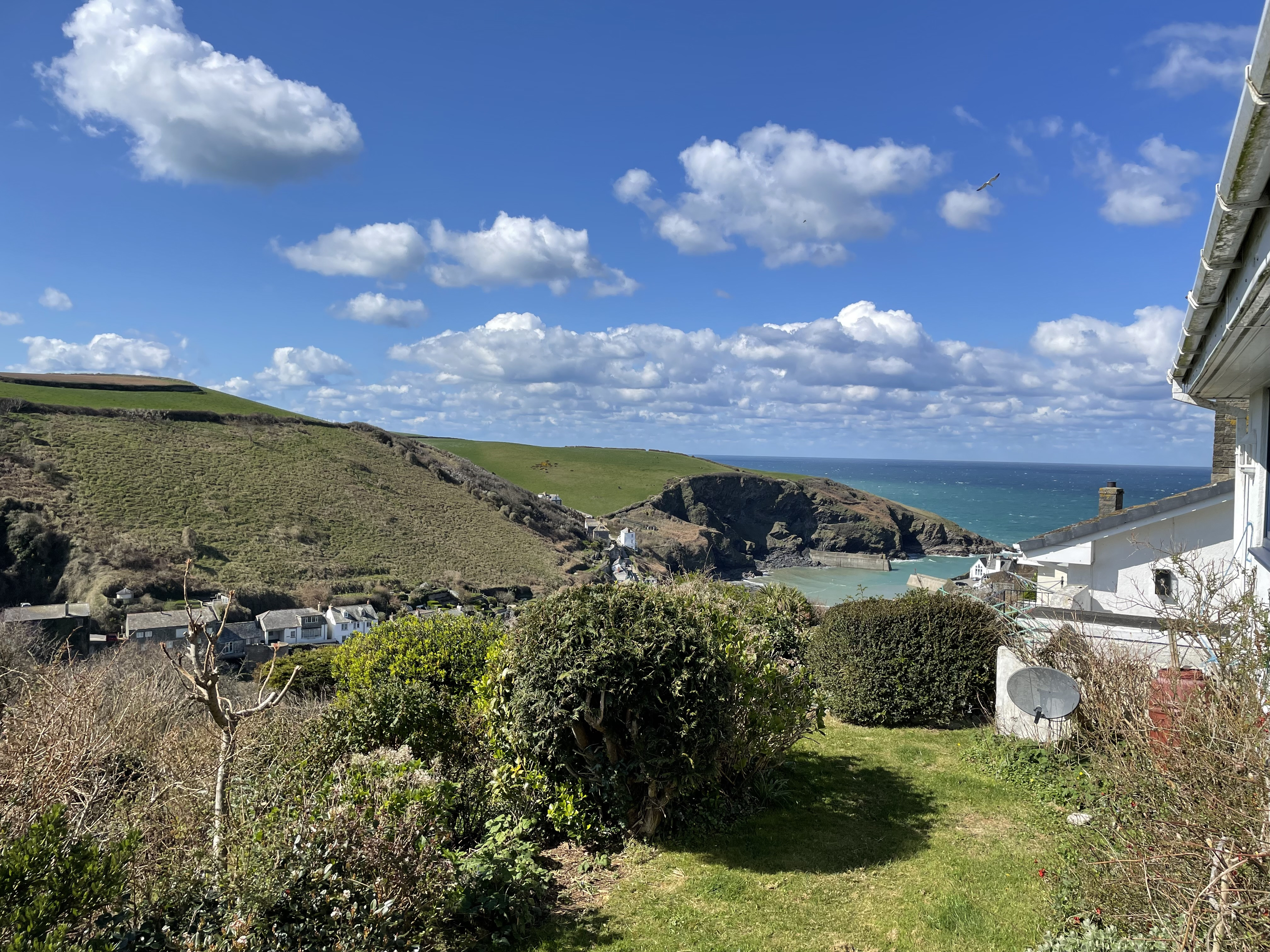View from garden
