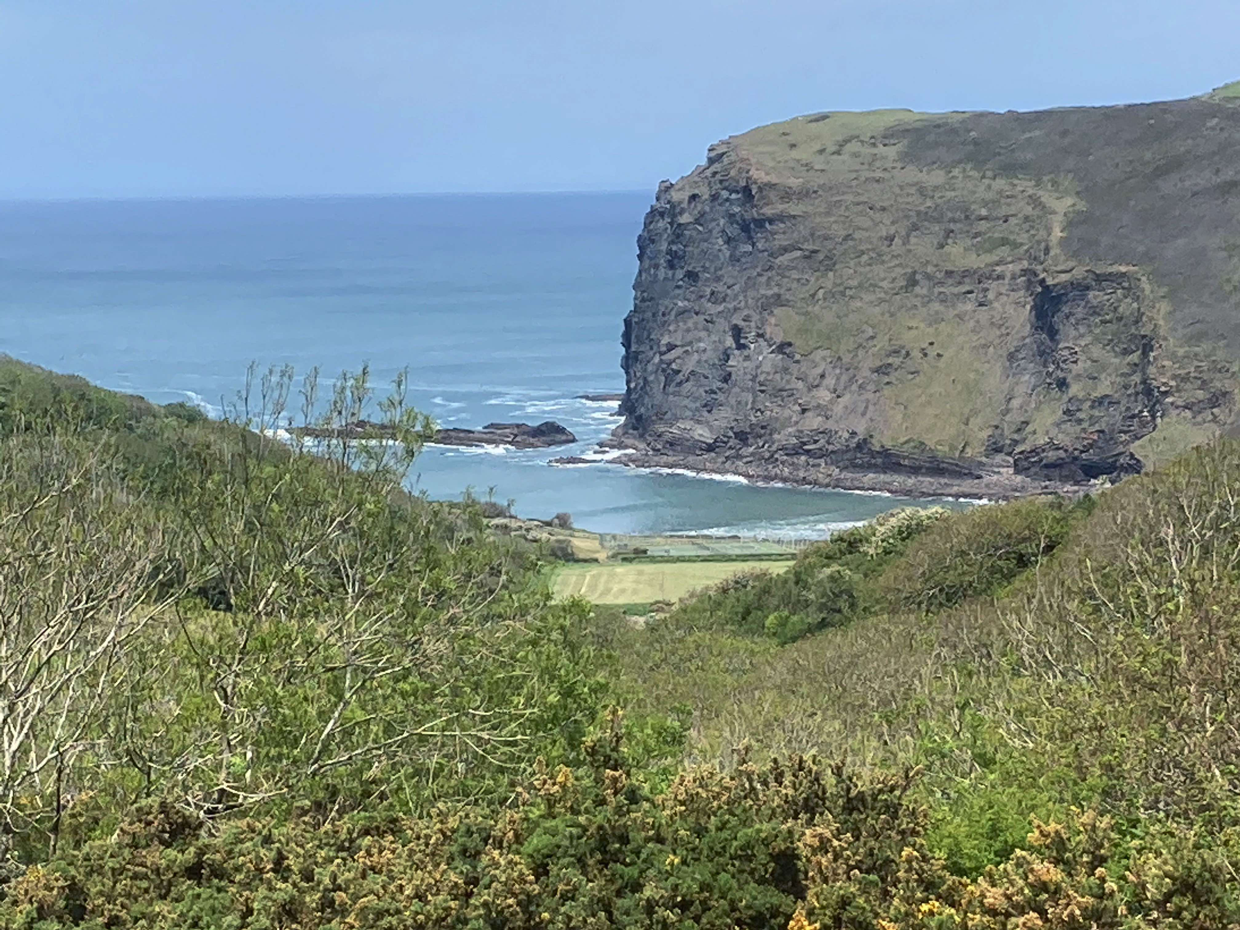 Looking down towards Crackington beach