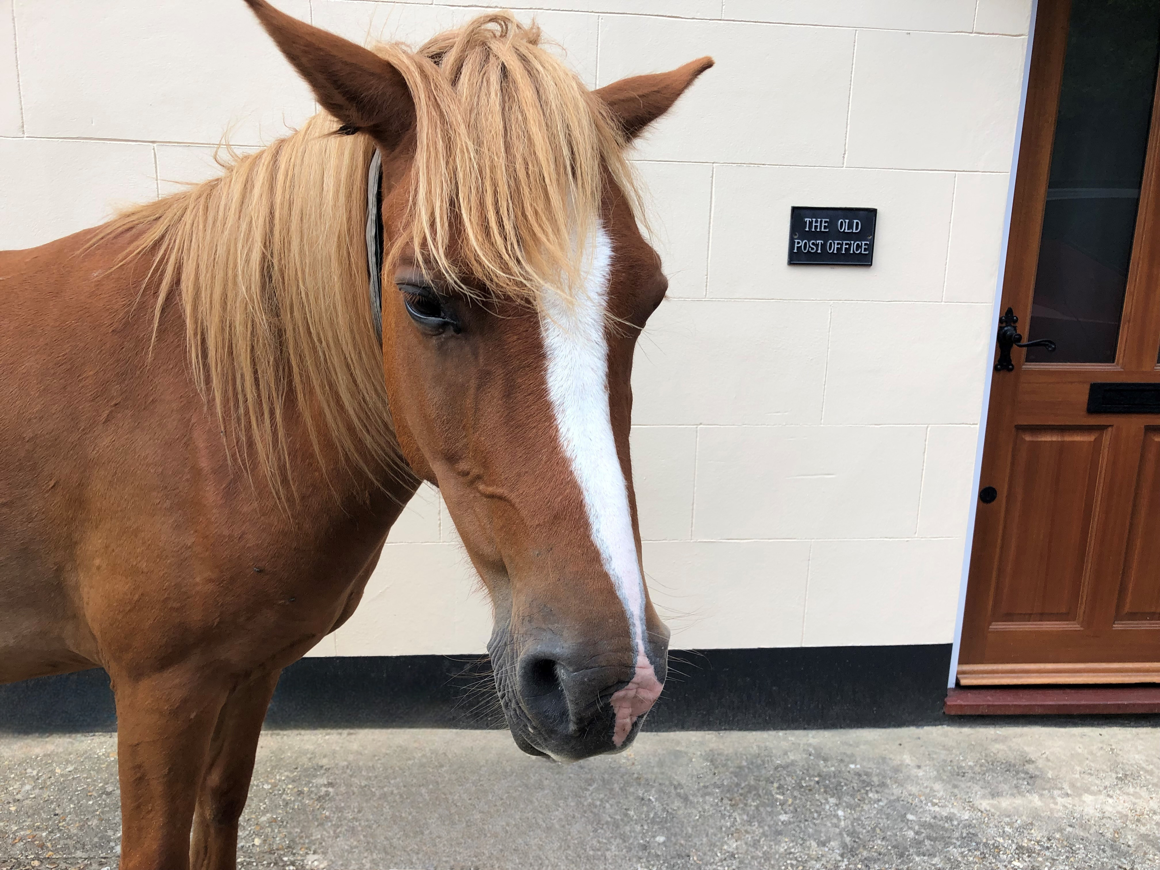 Property image 9 for THCA593